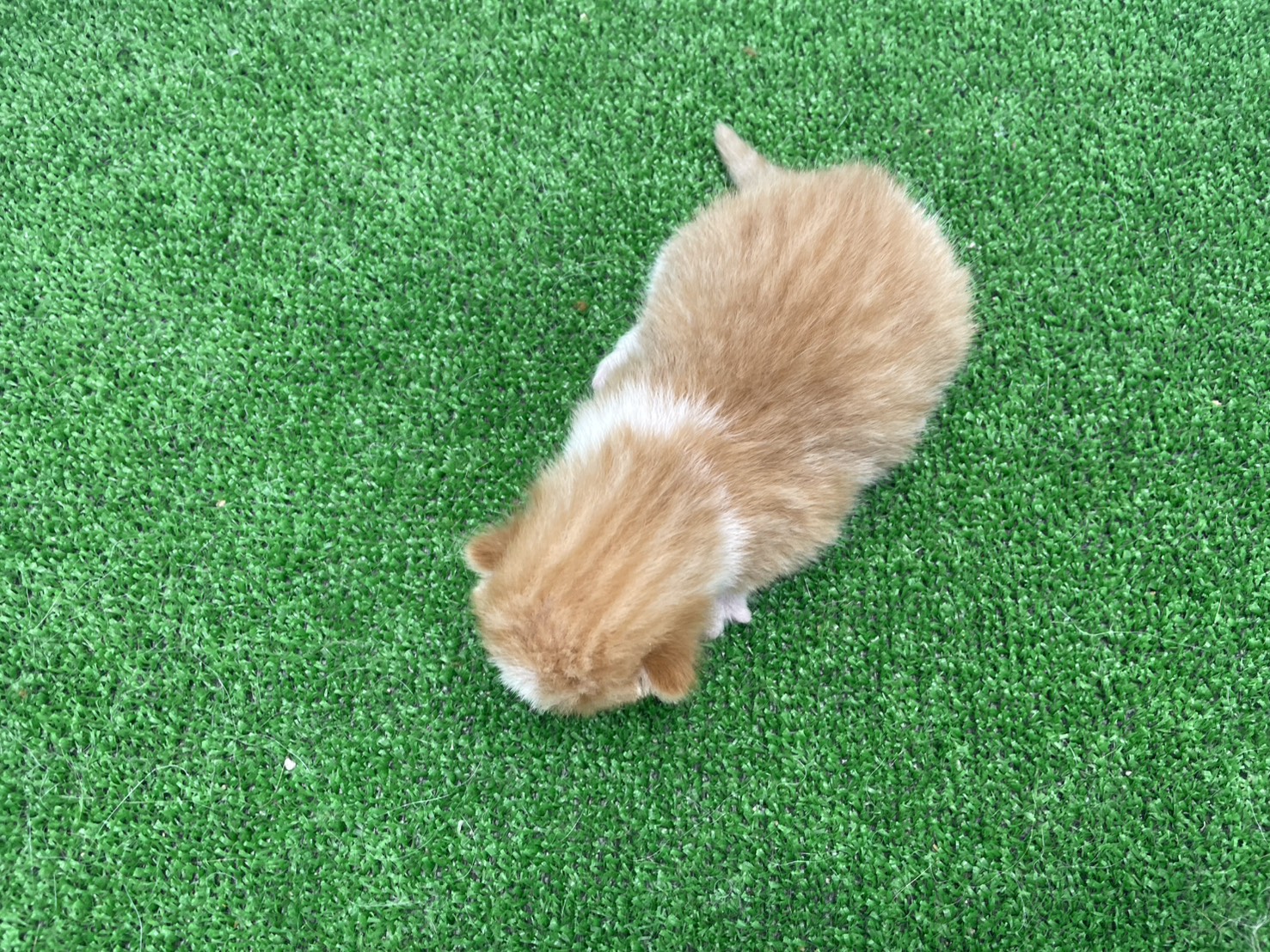 赤ちゃん写真1-3