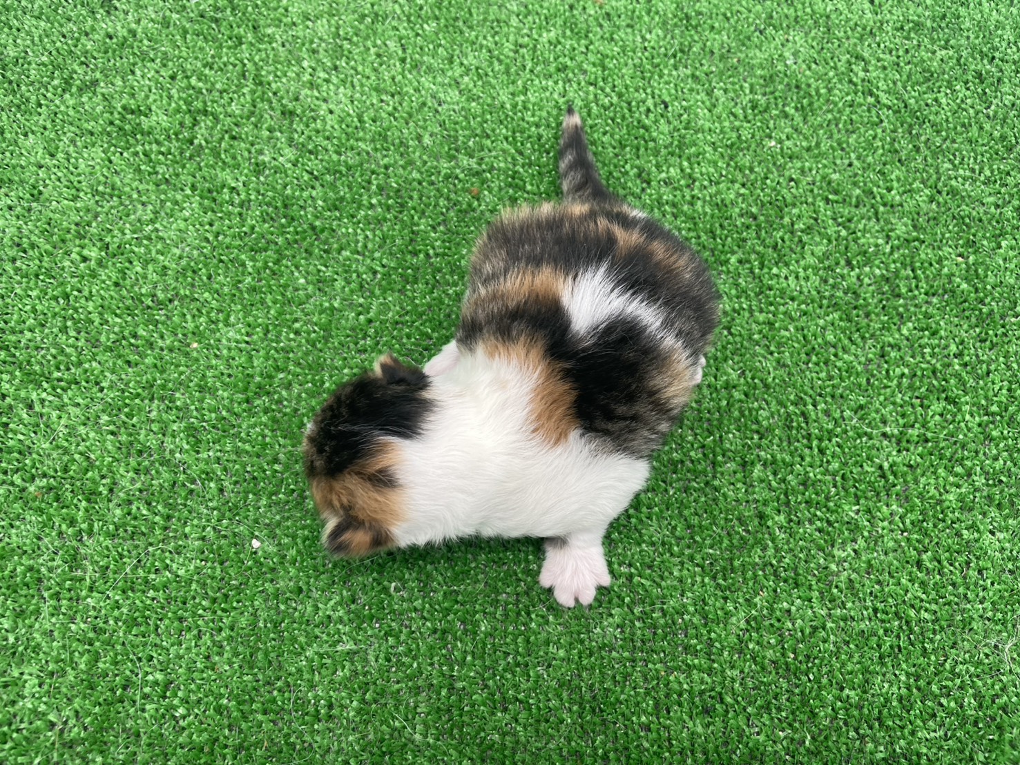 赤ちゃん写真1-3