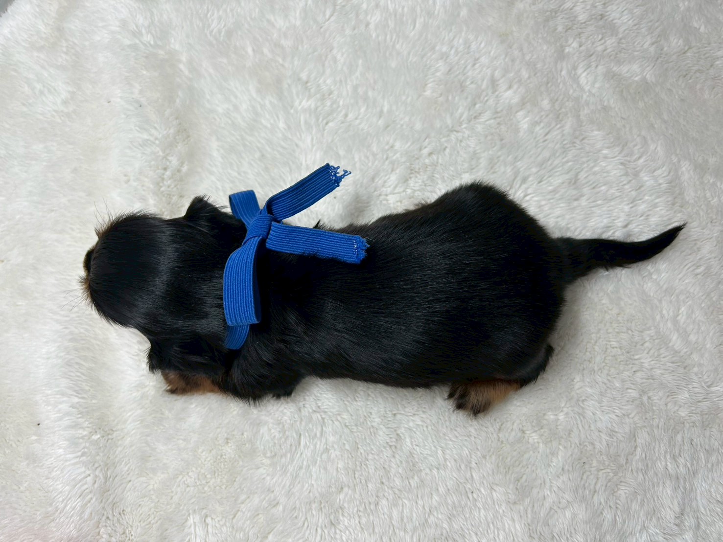 赤ちゃん写真2-3