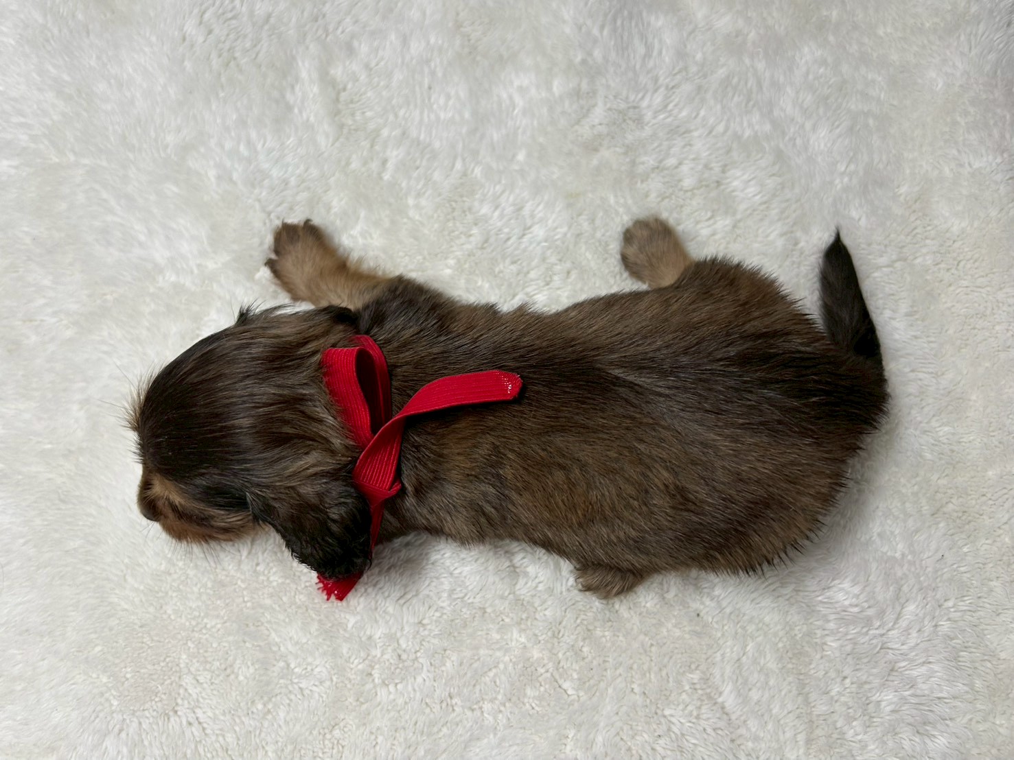 赤ちゃん写真2-3