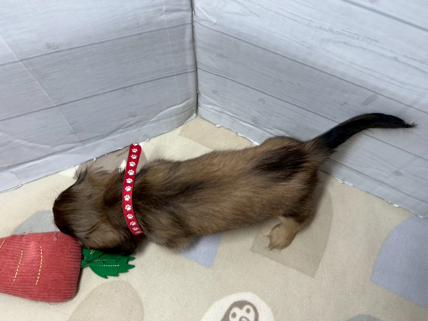 赤ちゃん写真3-3