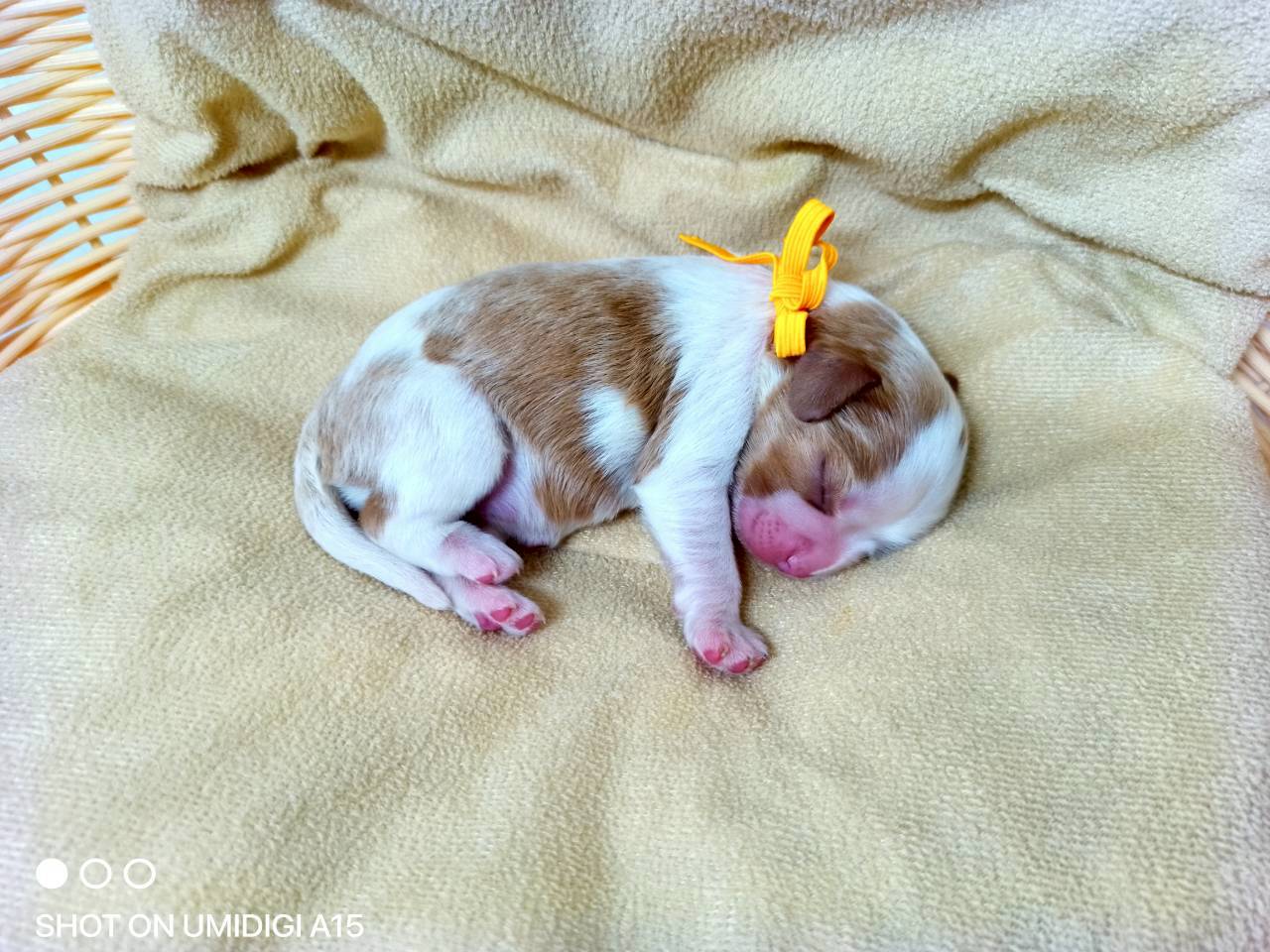 赤ちゃん写真1-2