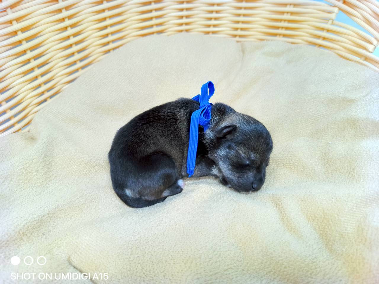 赤ちゃん写真1-2