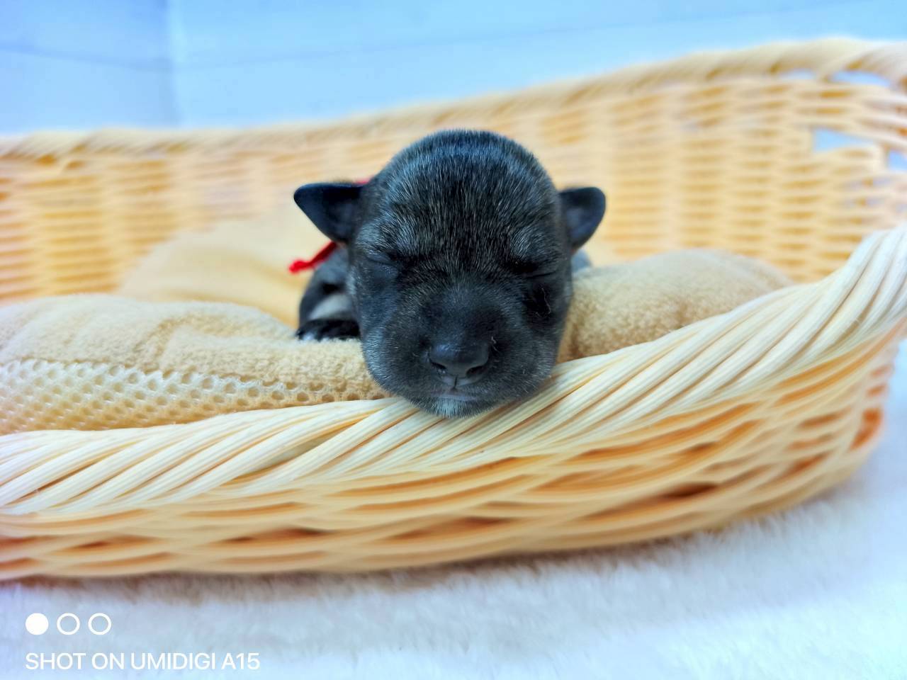 赤ちゃん写真1-1