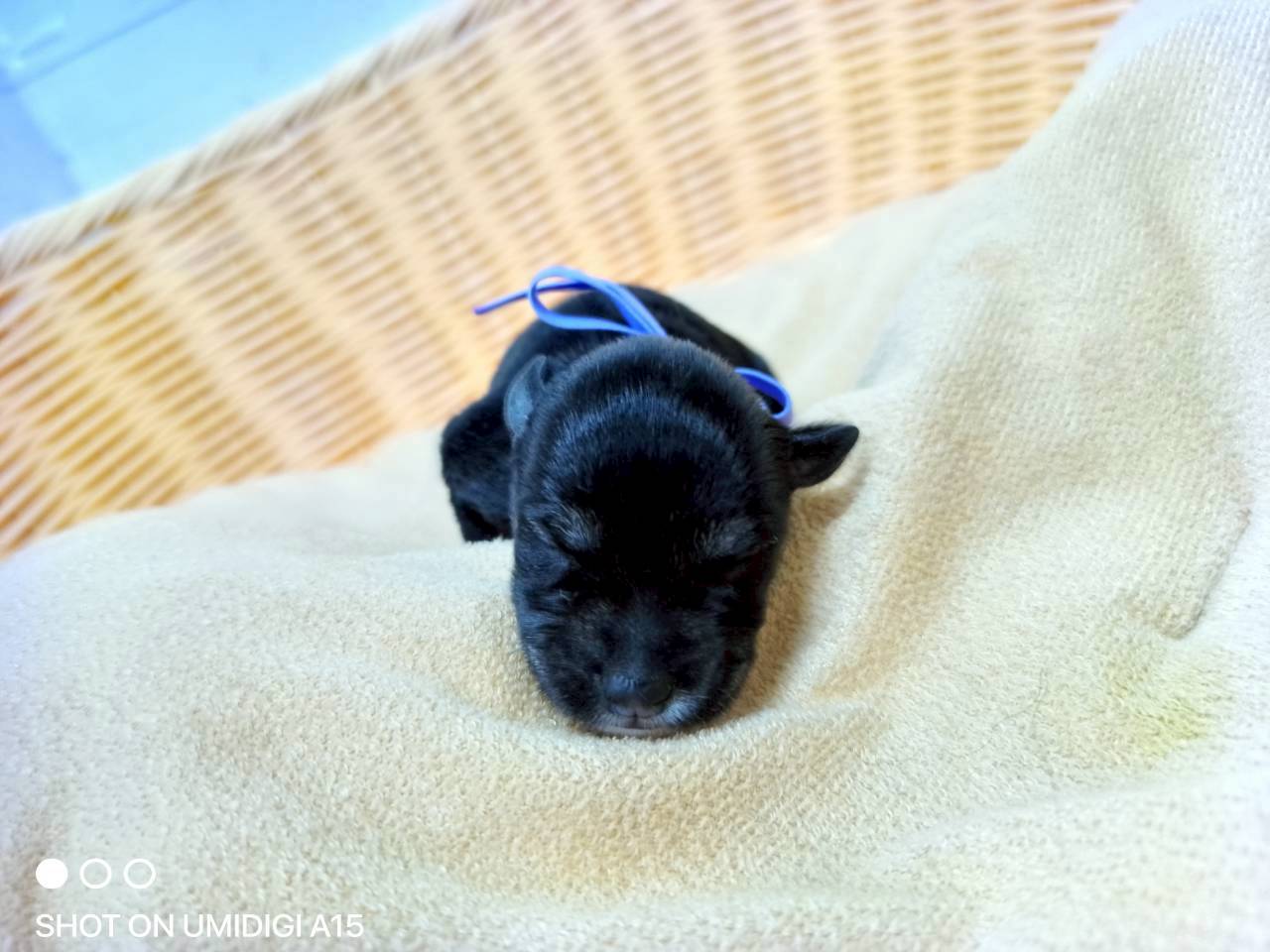 赤ちゃん写真1-1