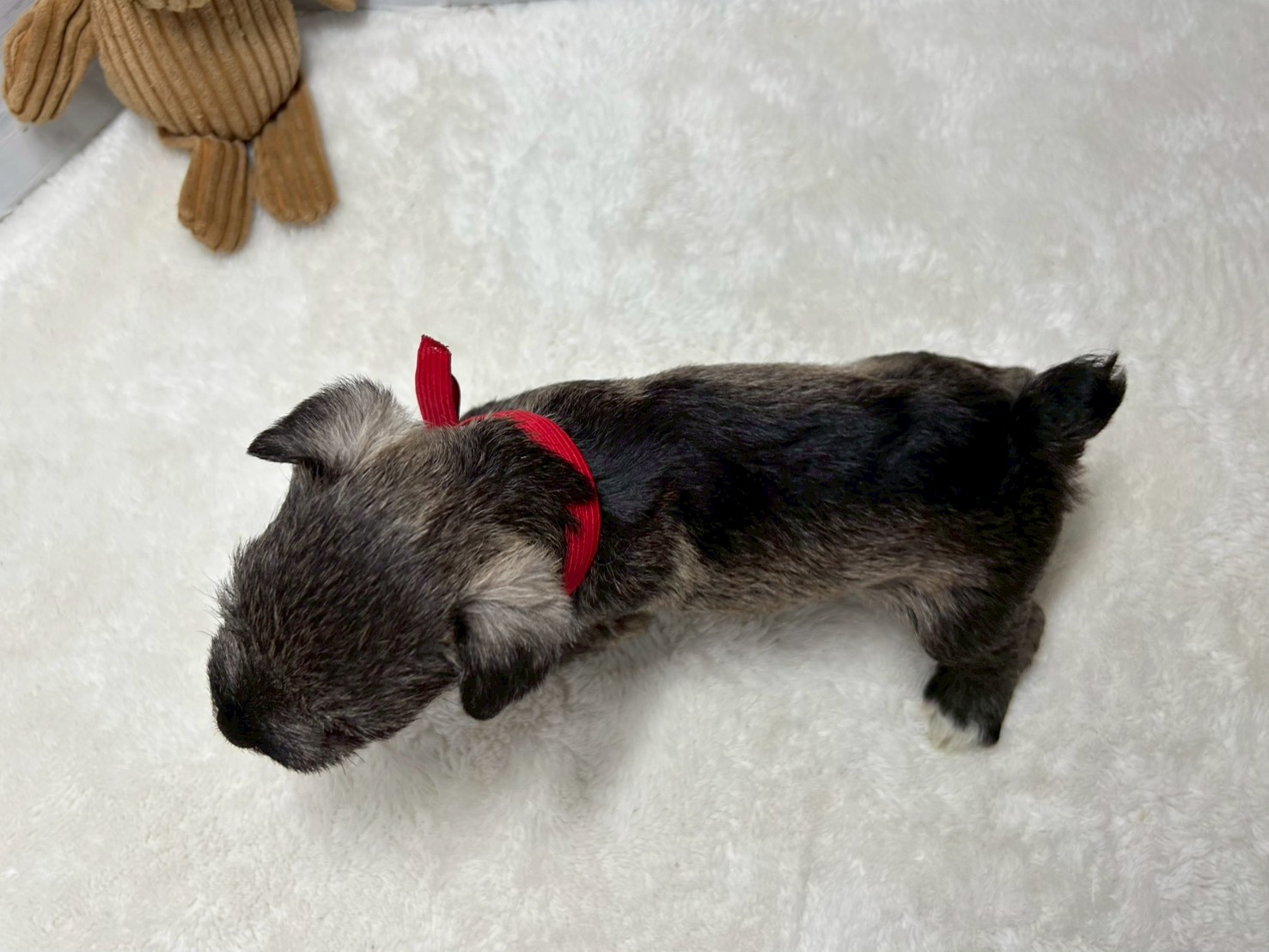 赤ちゃん写真2-3