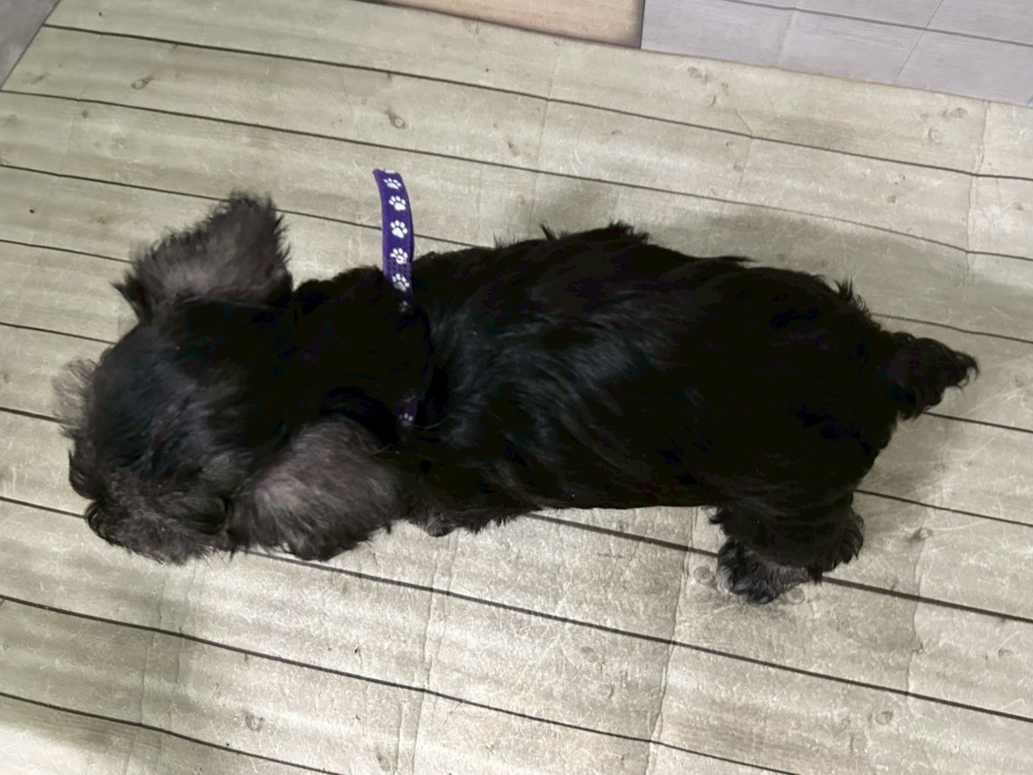 赤ちゃん写真3-3