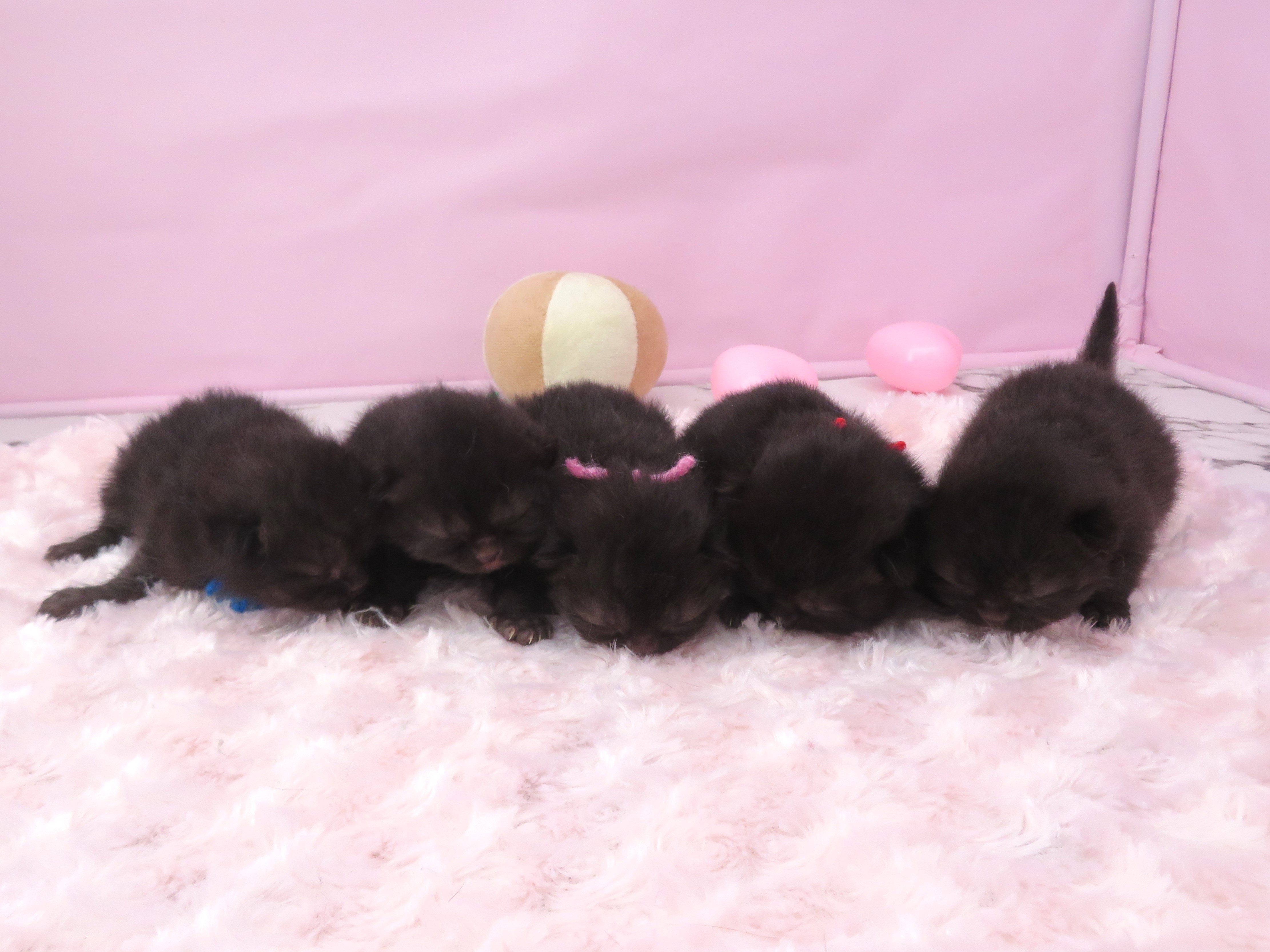 赤ちゃん写真1-3