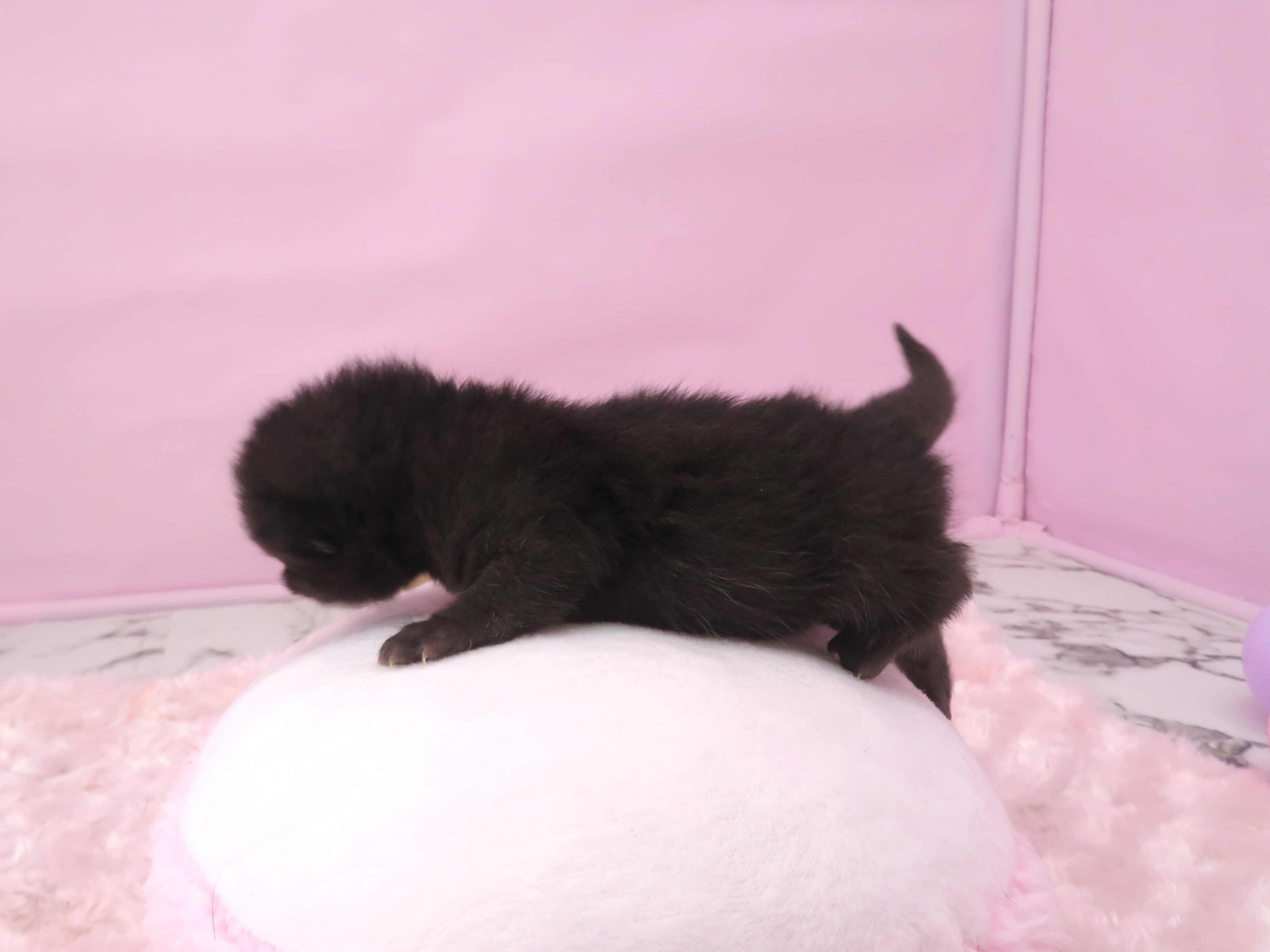 赤ちゃん写真1-2