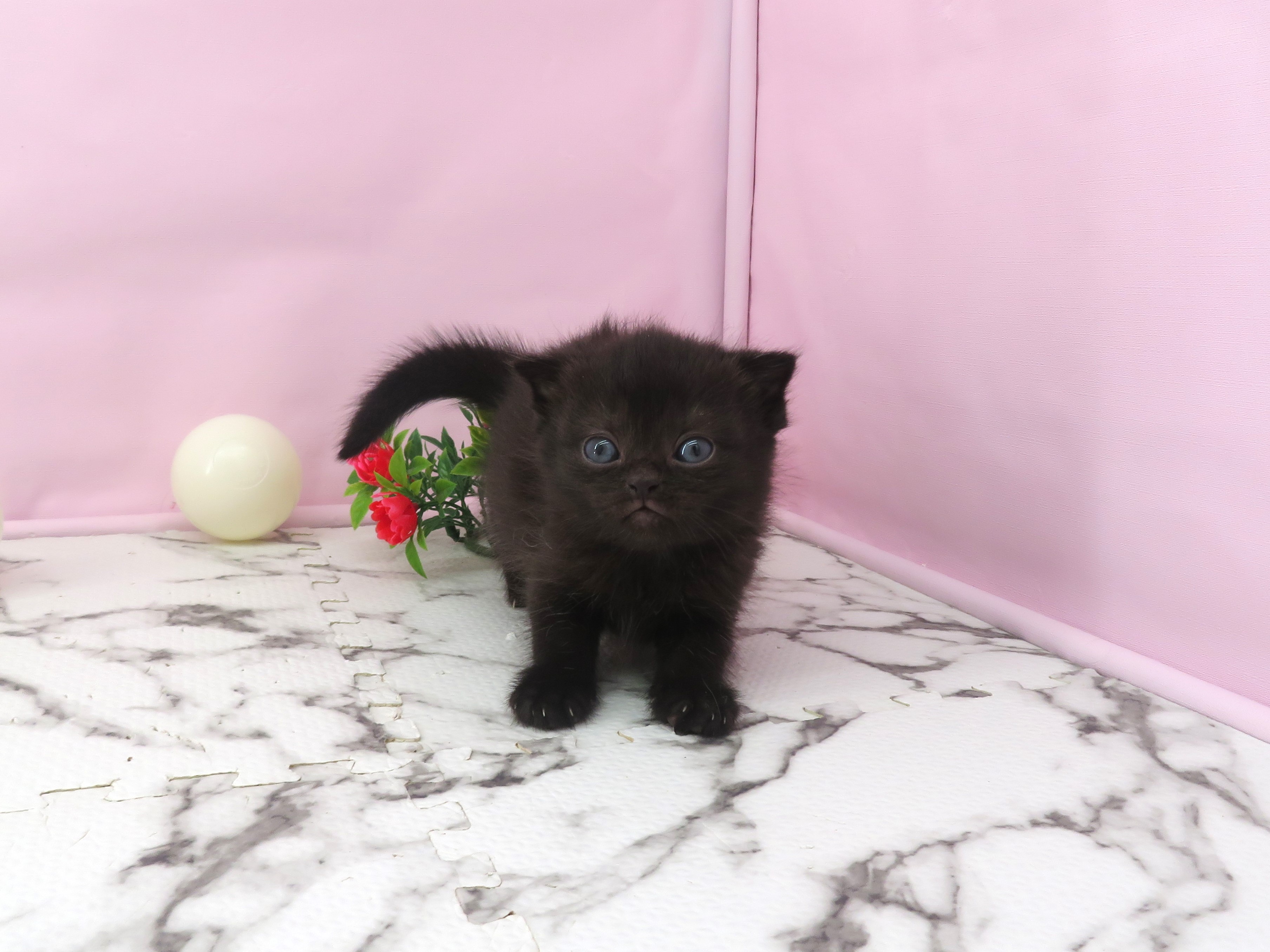 赤ちゃん写真2-1