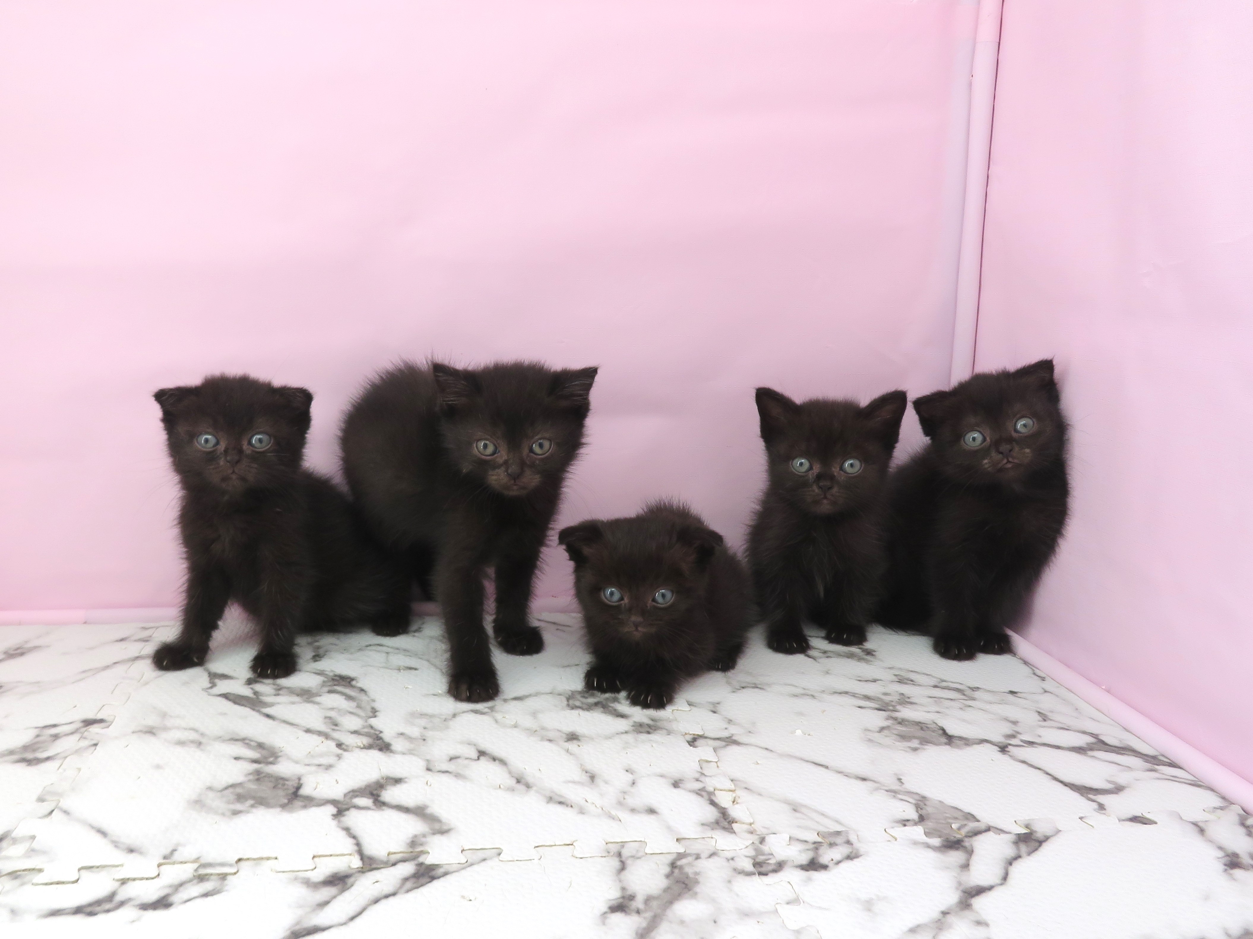 赤ちゃん写真3-3