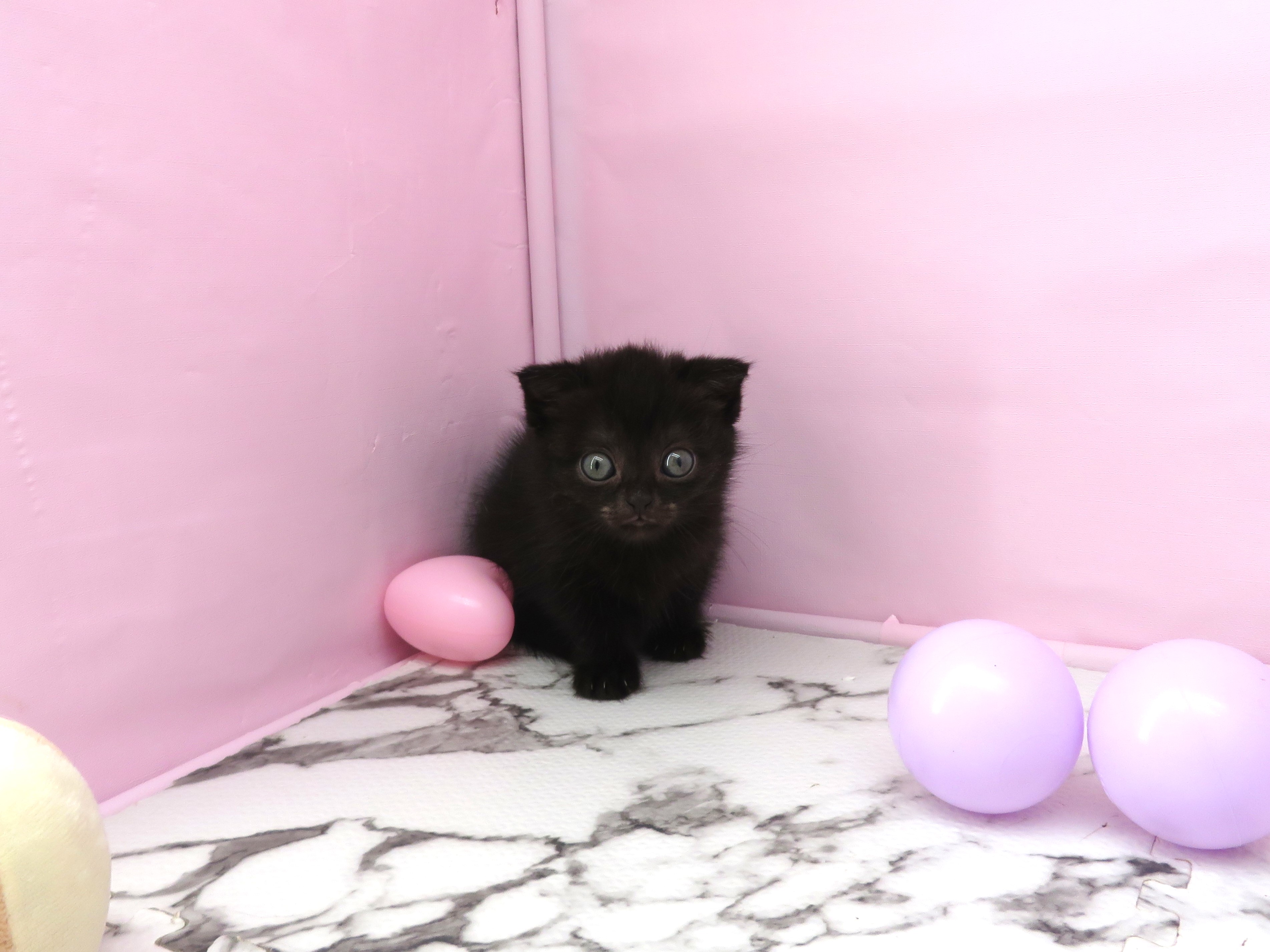 赤ちゃん写真3-1
