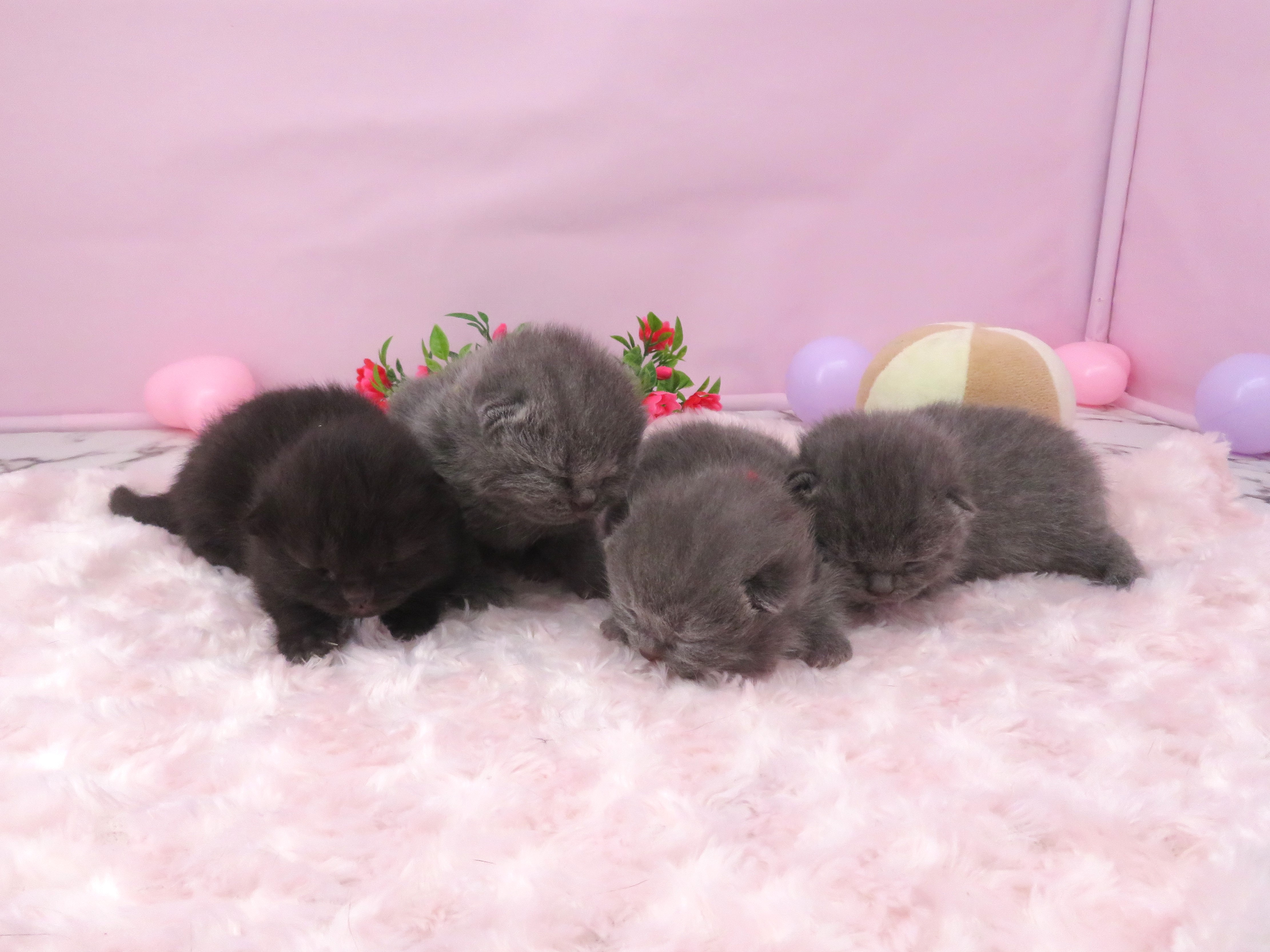 赤ちゃん写真1-3