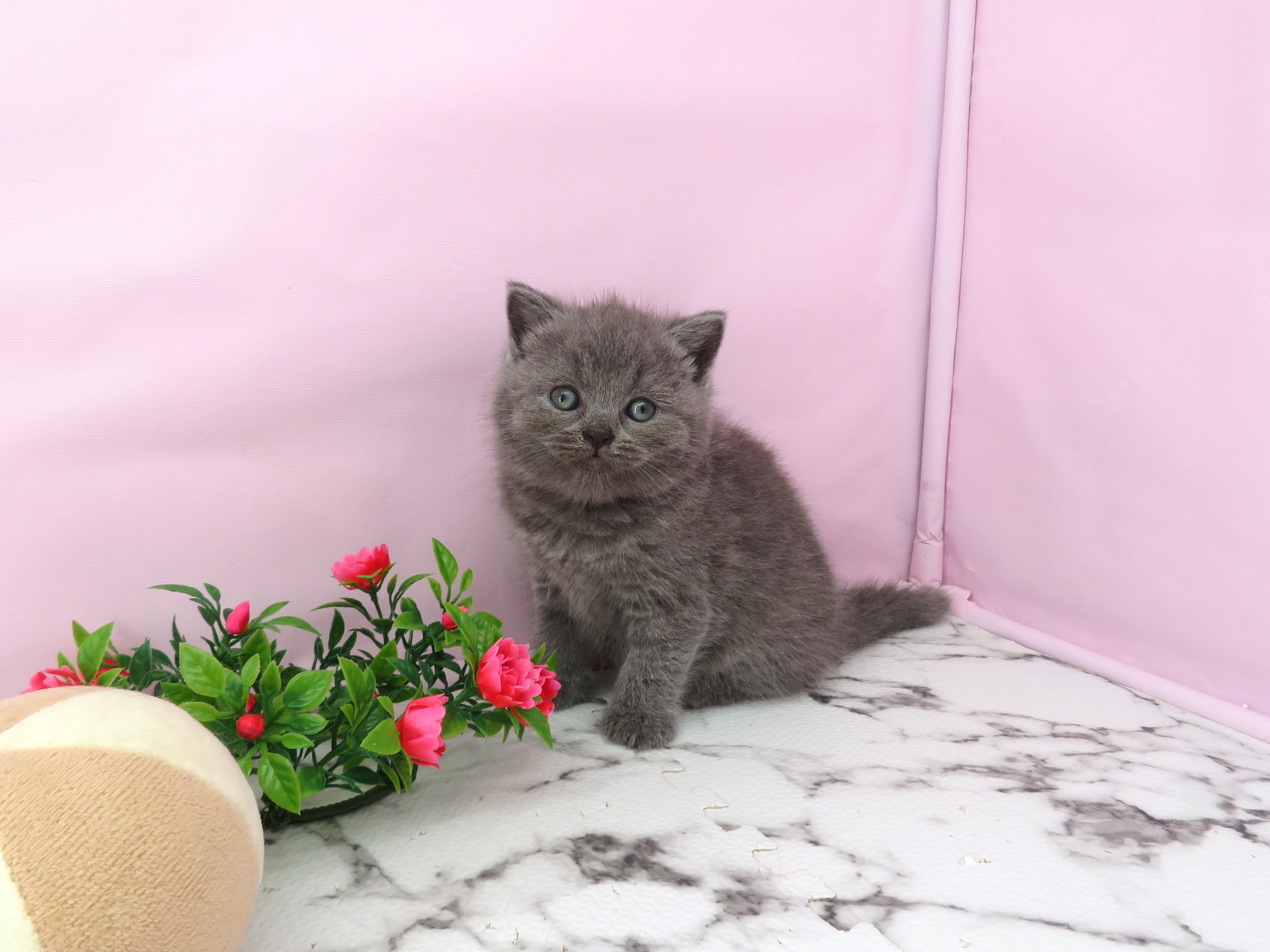 赤ちゃん写真2-1