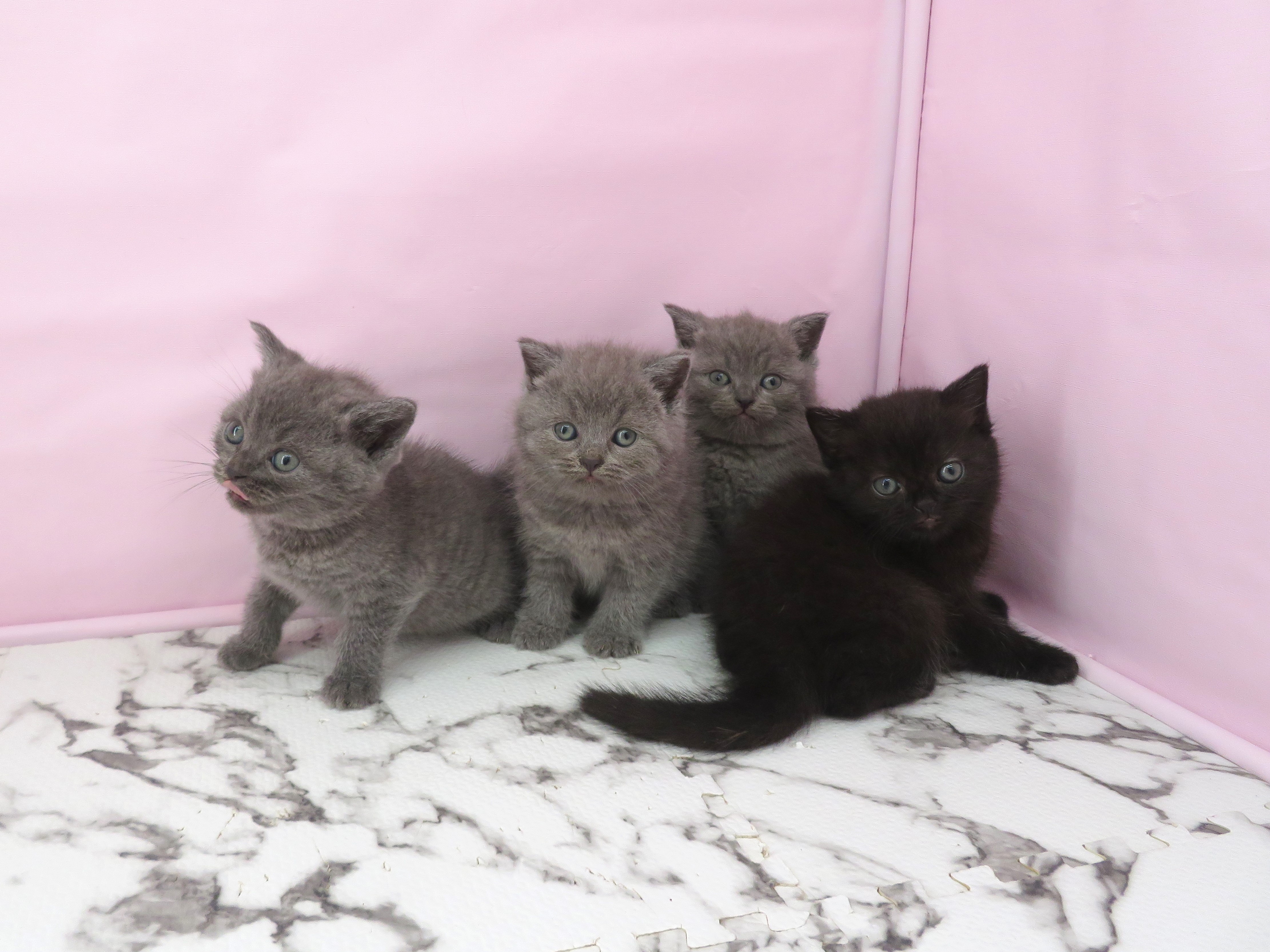 赤ちゃん写真2-3