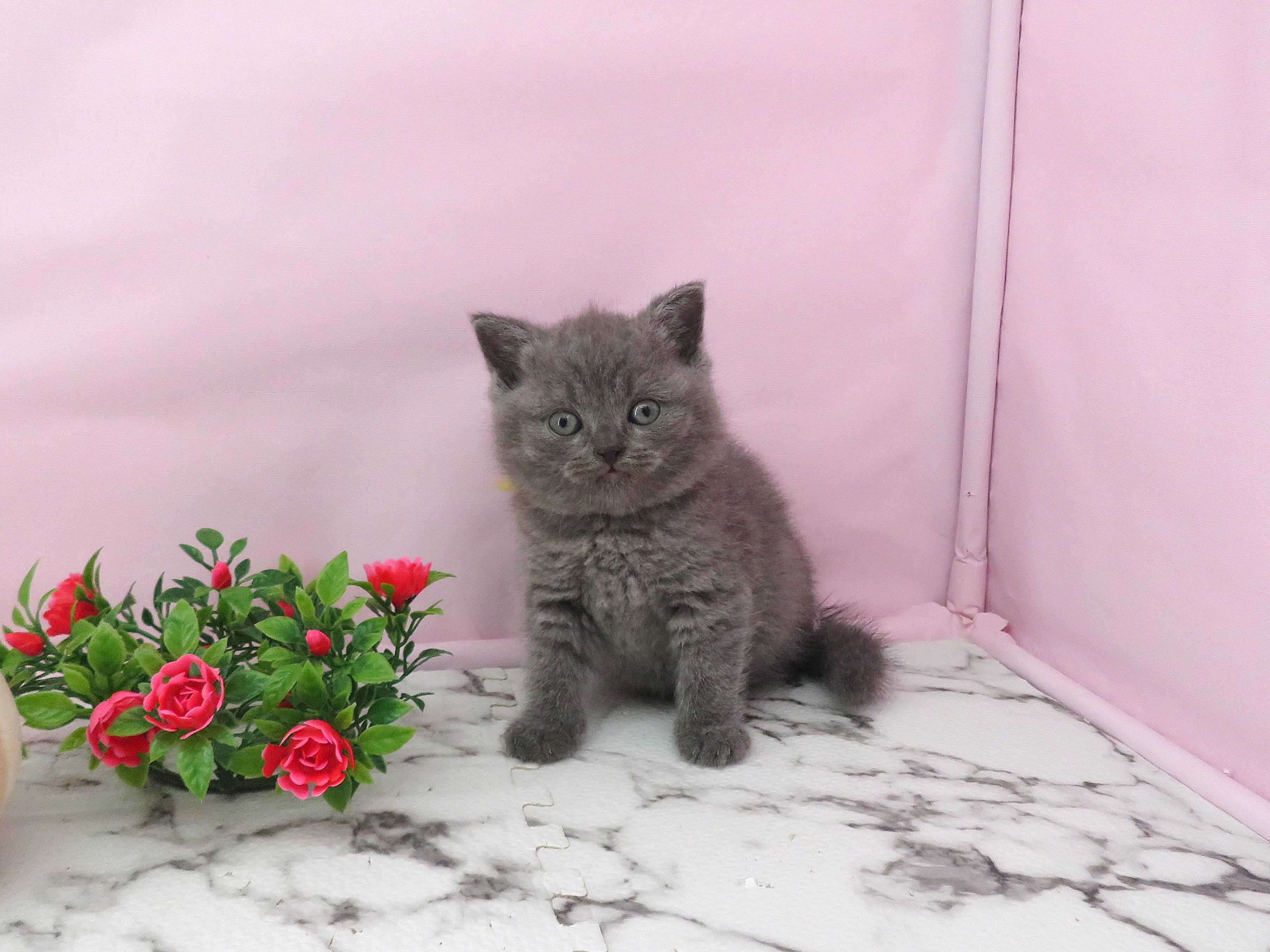 赤ちゃん写真2-1
