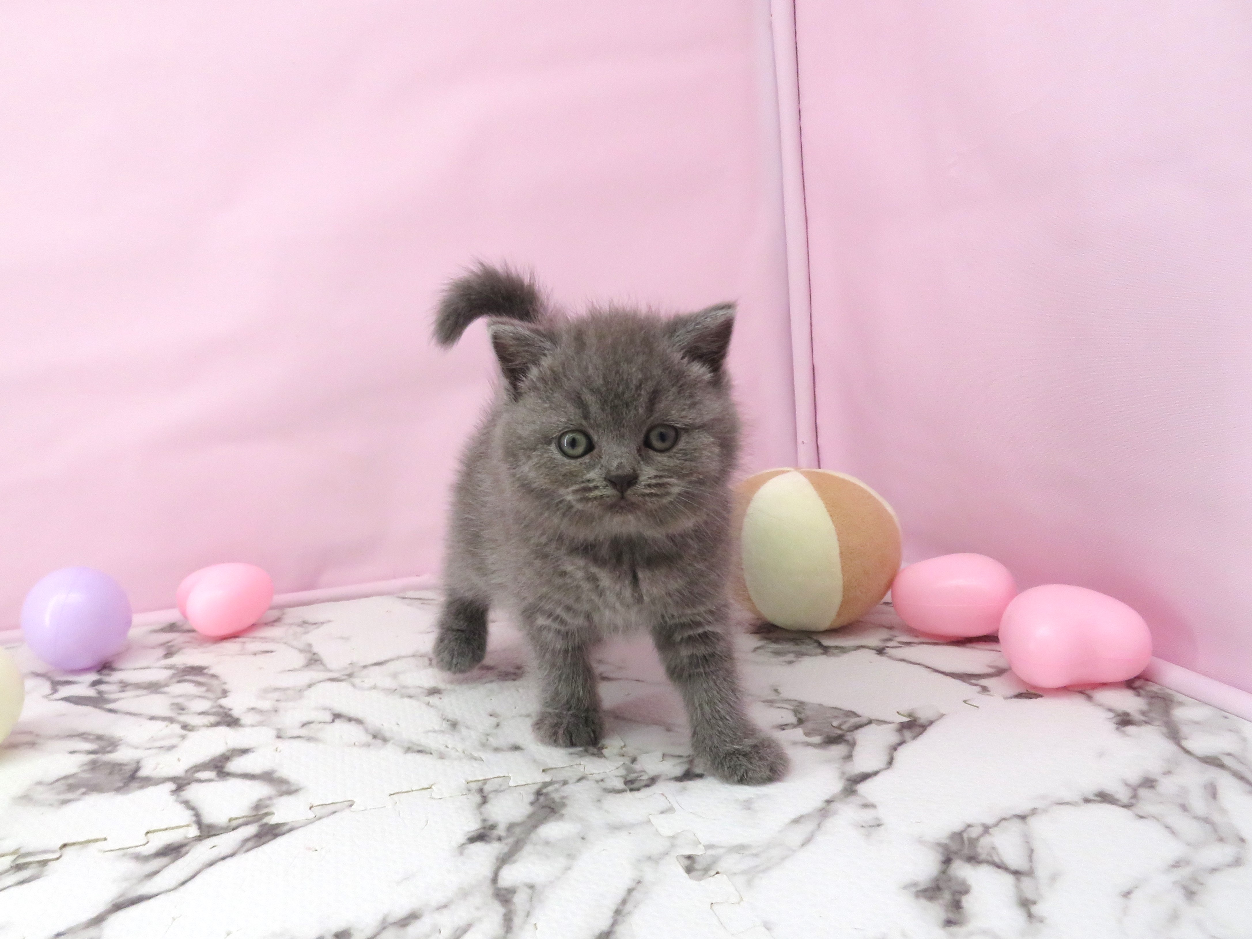 赤ちゃん写真3-1