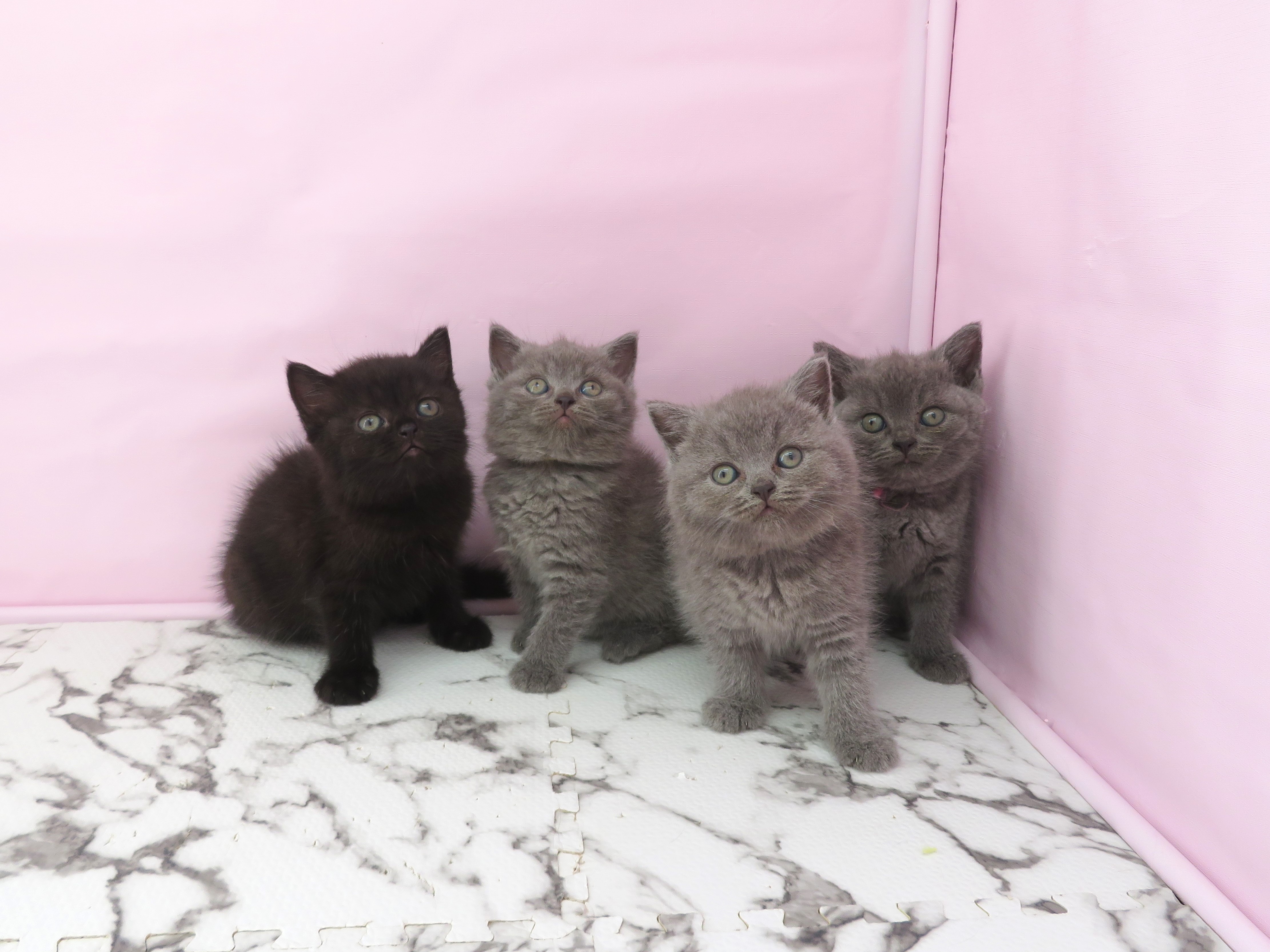 赤ちゃん写真3-3