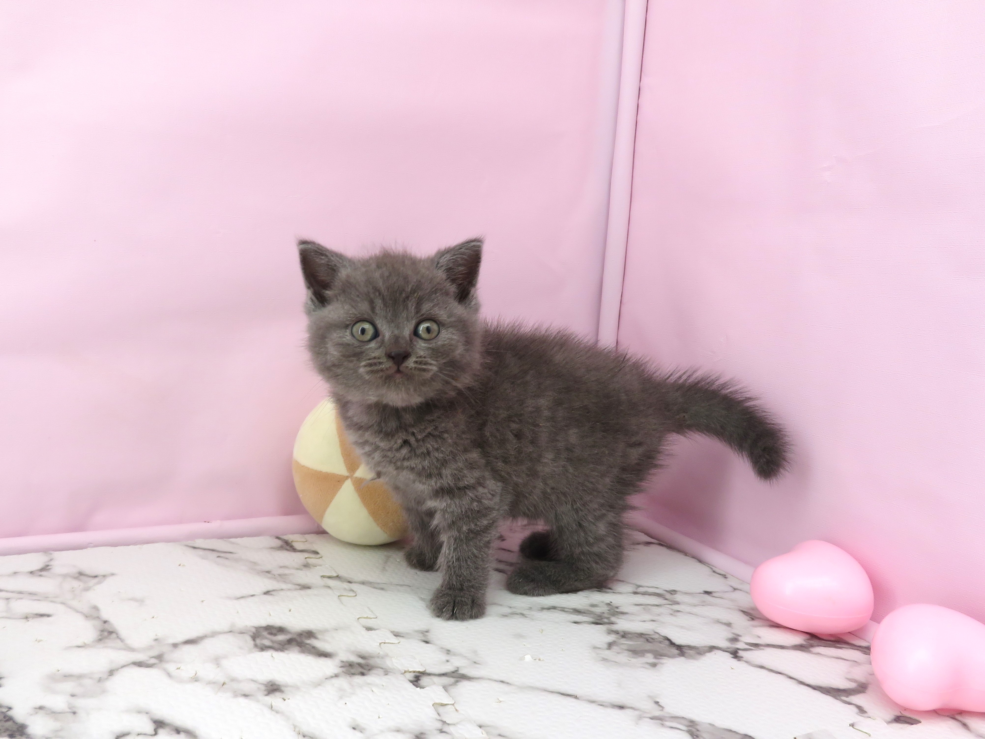 赤ちゃん写真3-2