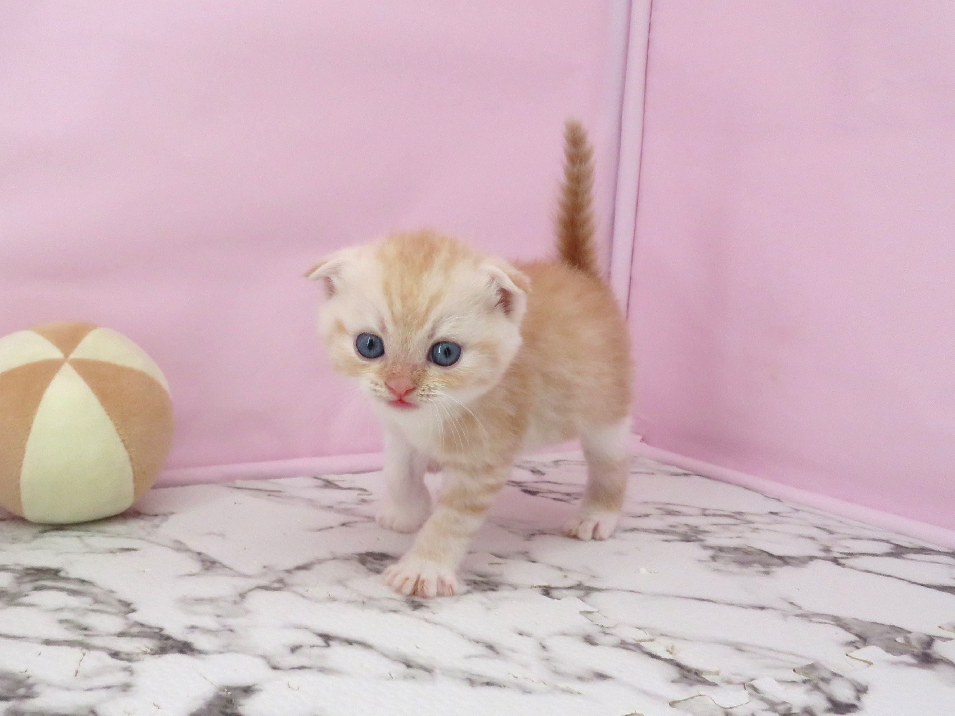 赤ちゃん写真2-2