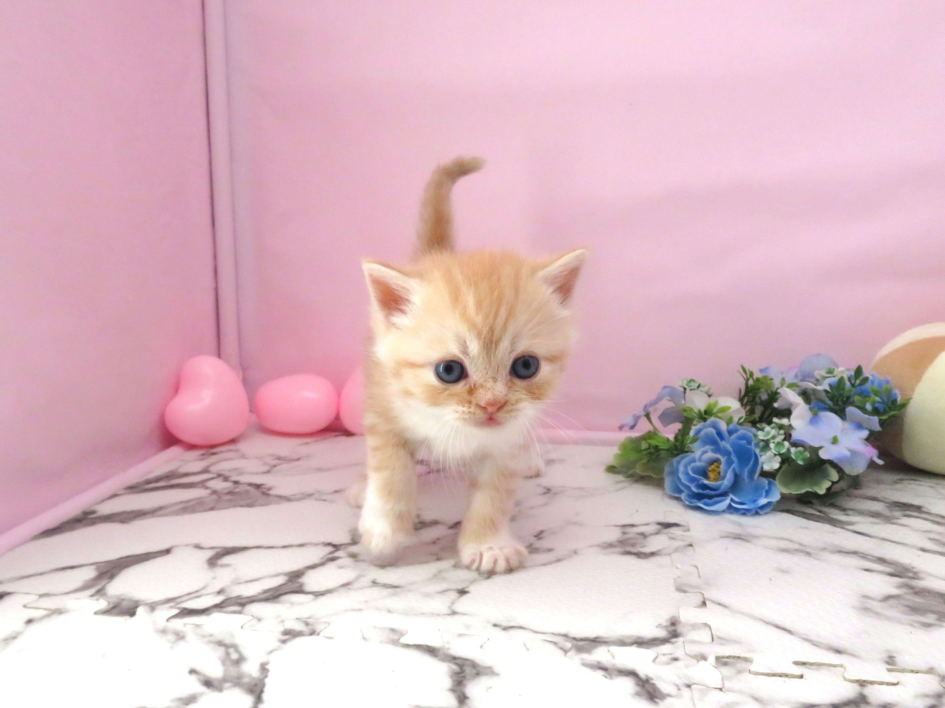赤ちゃん写真2-1