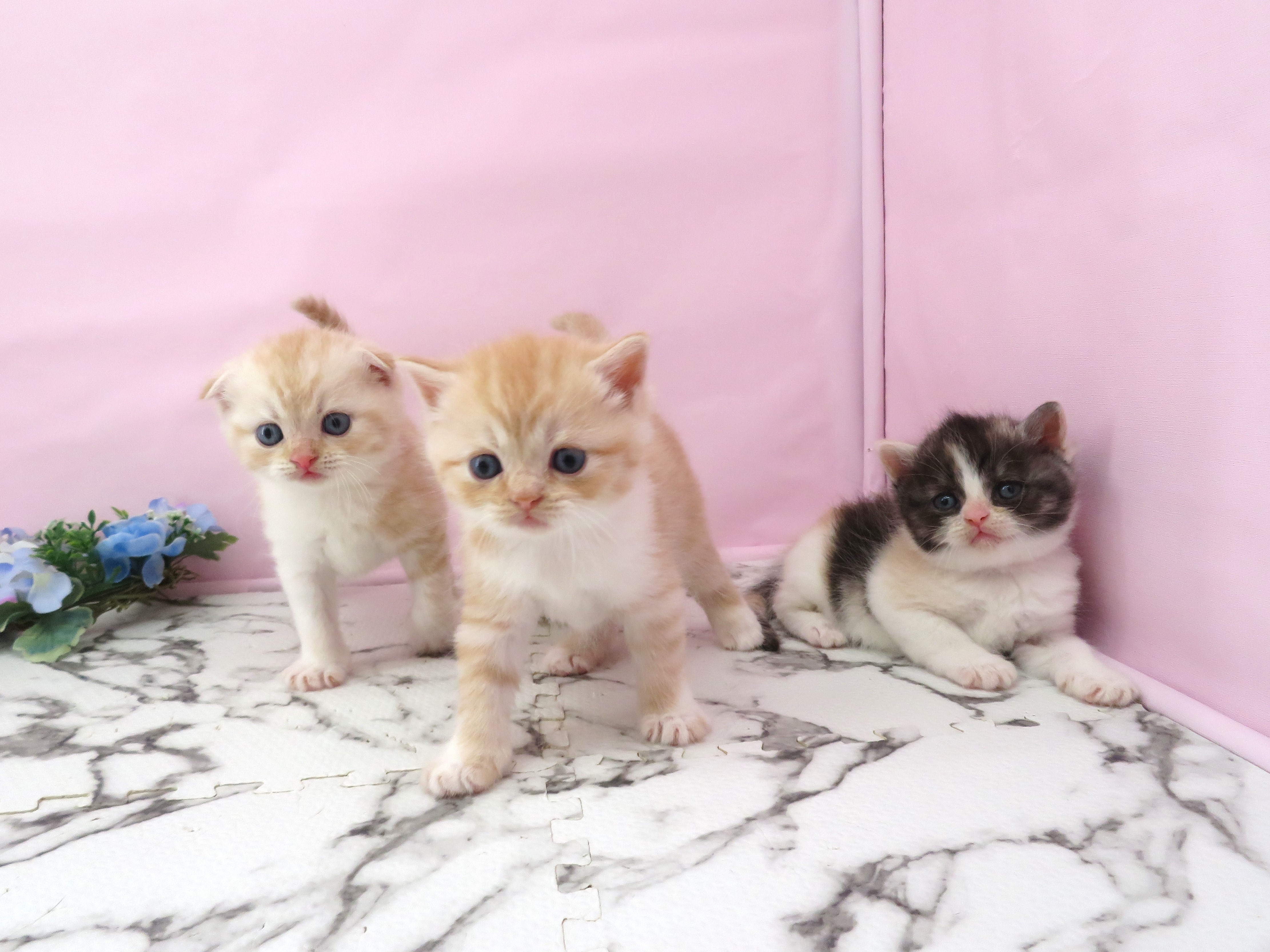 赤ちゃん写真2-3
