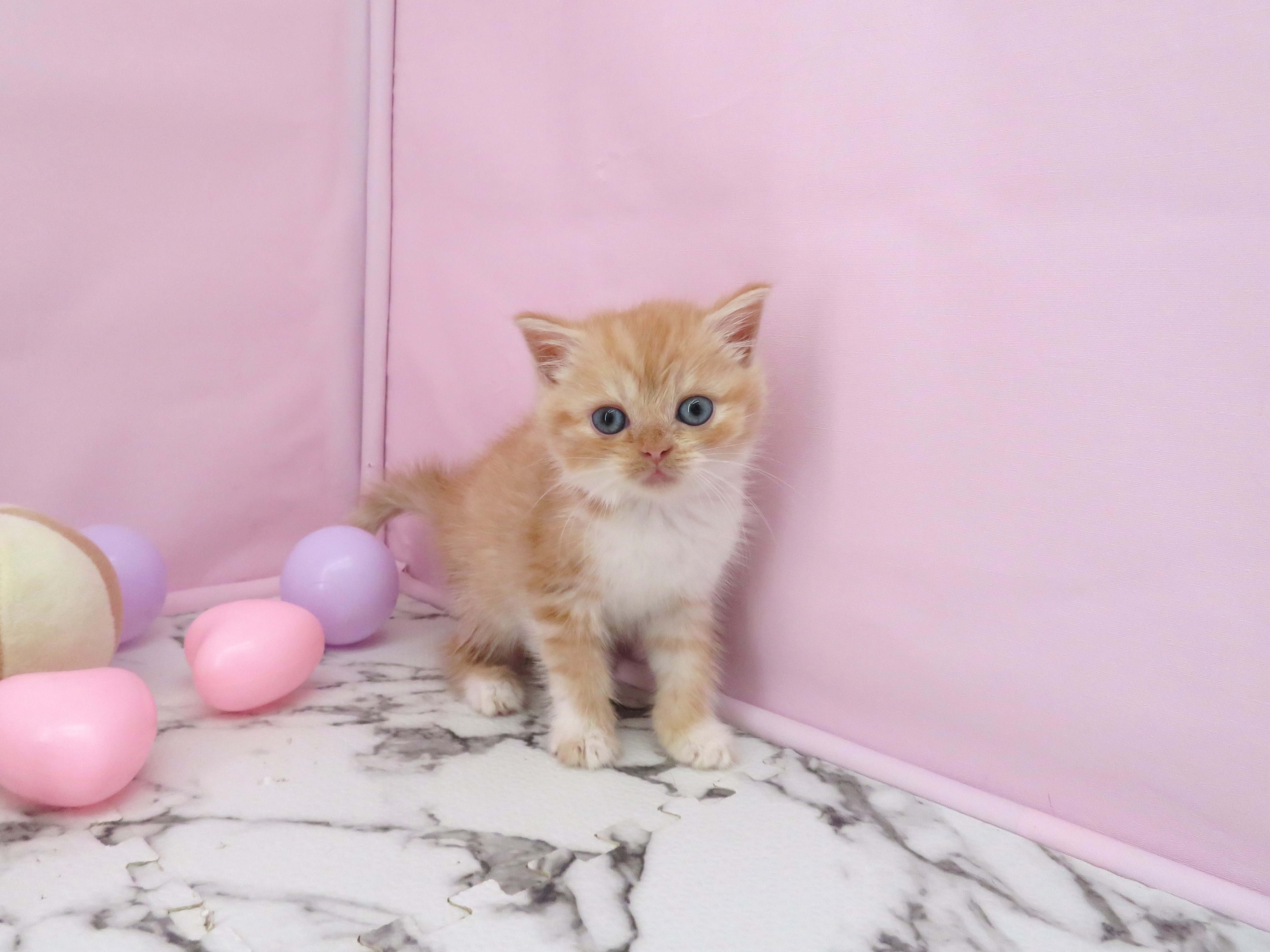 赤ちゃん写真3-1