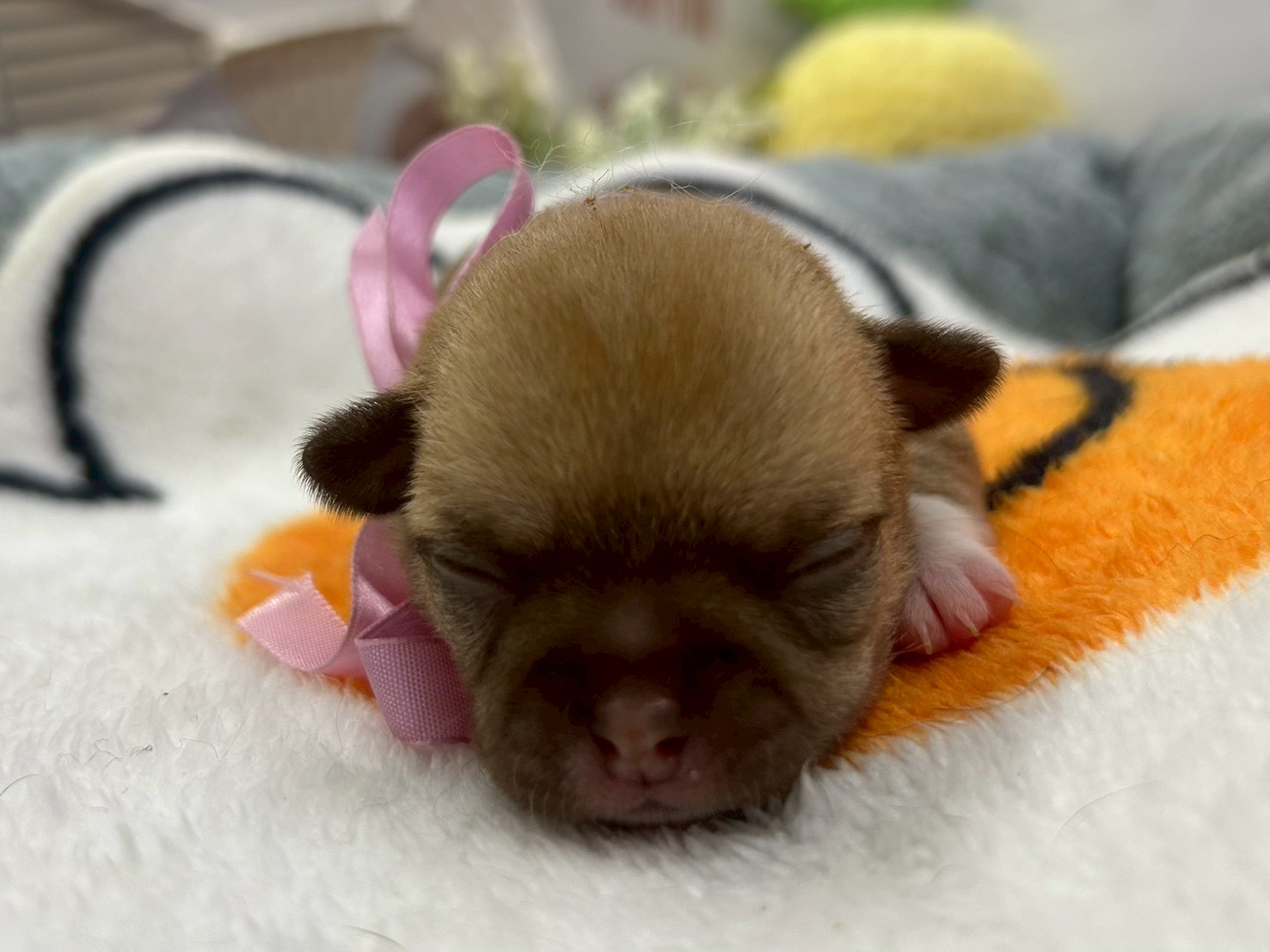 赤ちゃん写真1-1