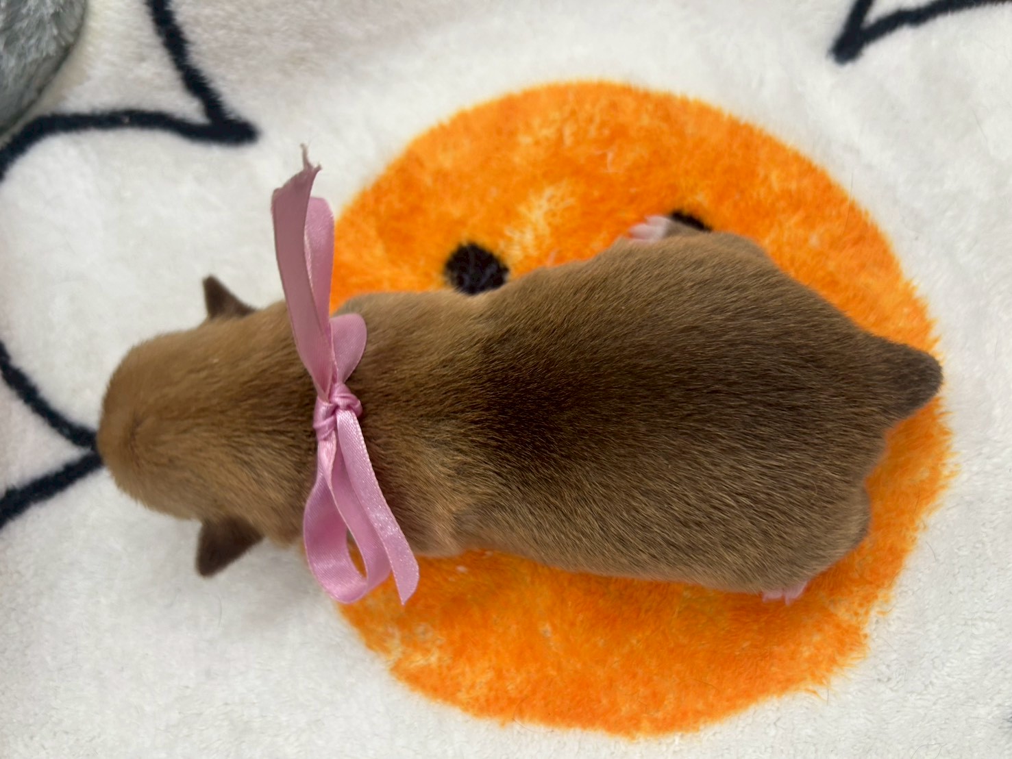 赤ちゃん写真1-3
