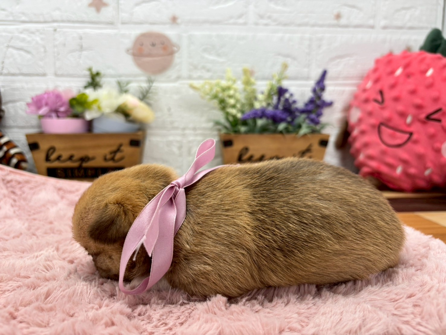 赤ちゃん写真2-2