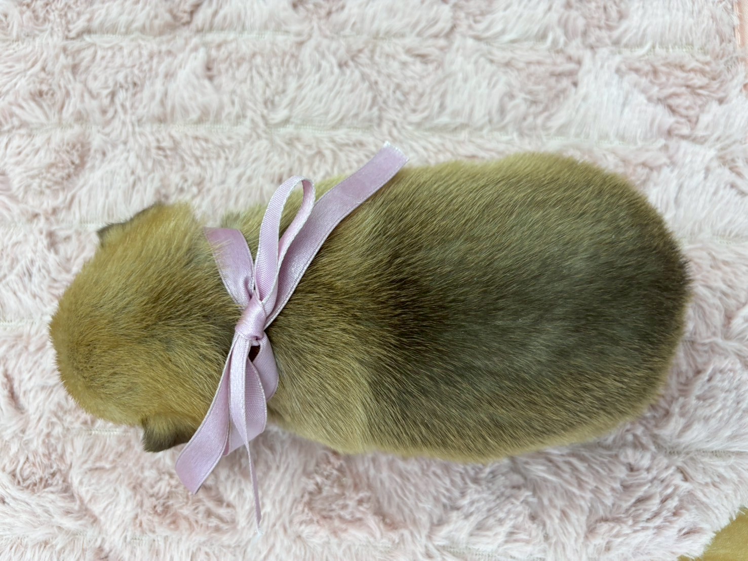 赤ちゃん写真2-3