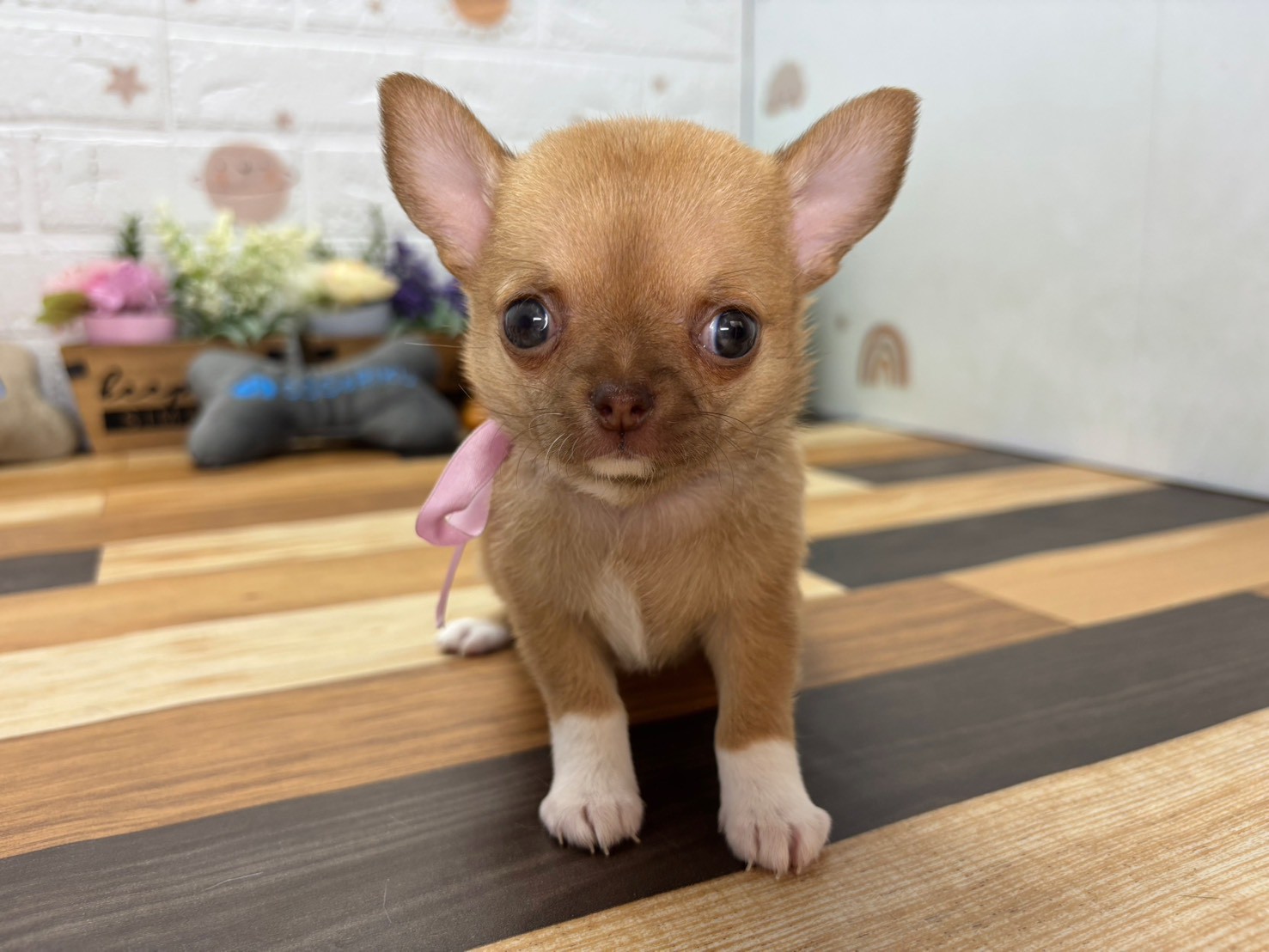 赤ちゃん写真3-1