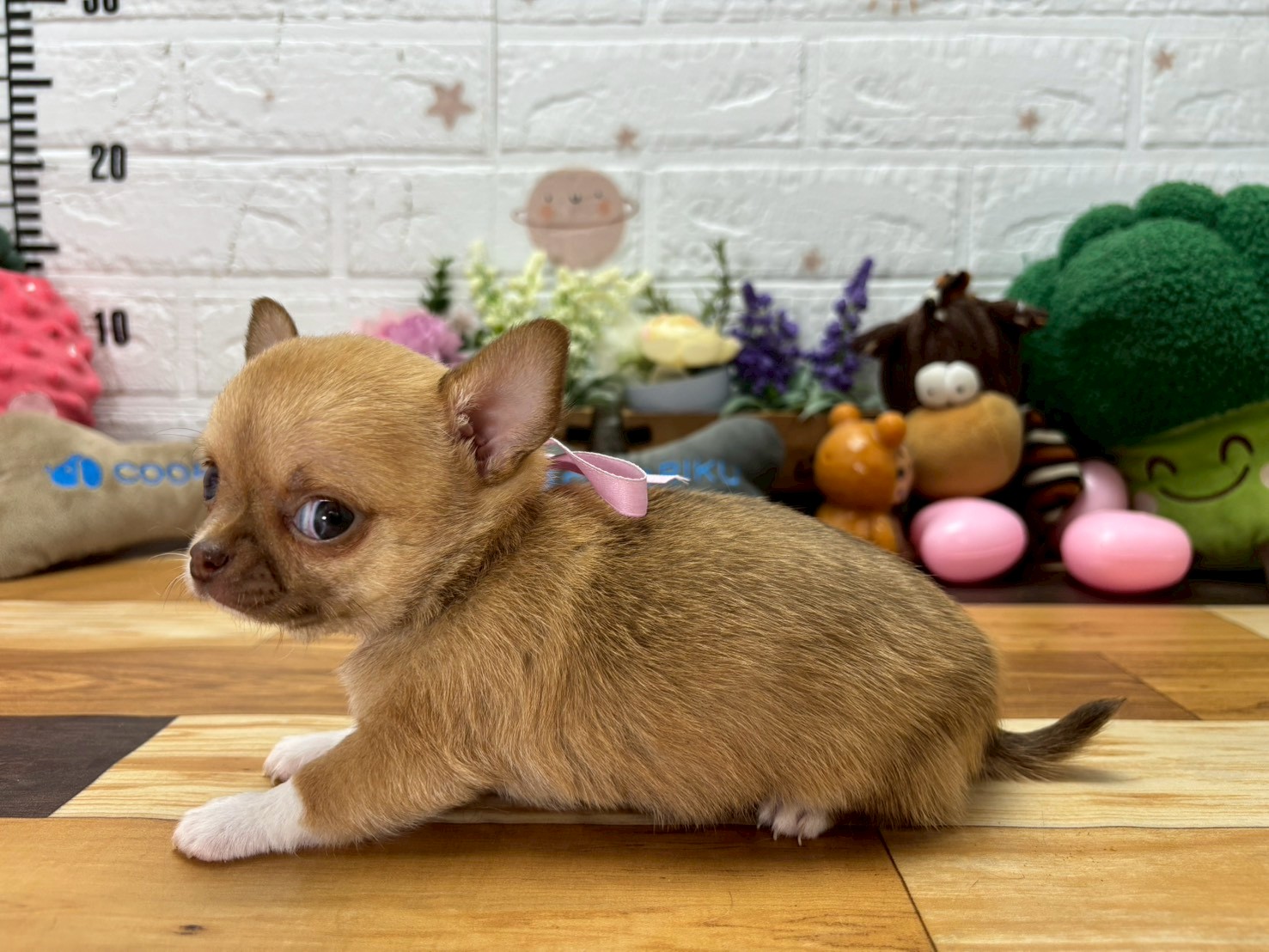 赤ちゃん写真3-2
