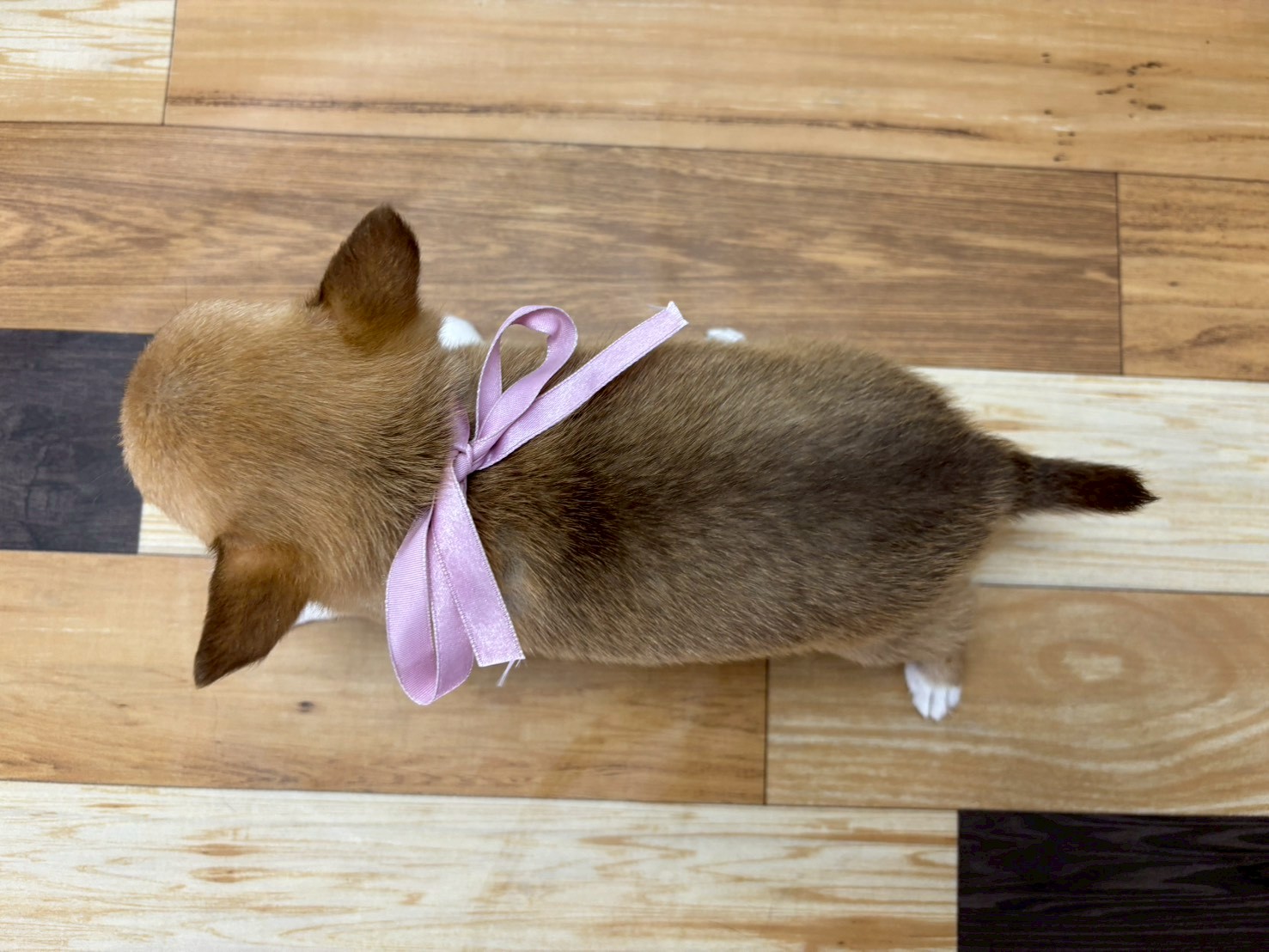 赤ちゃん写真3-3