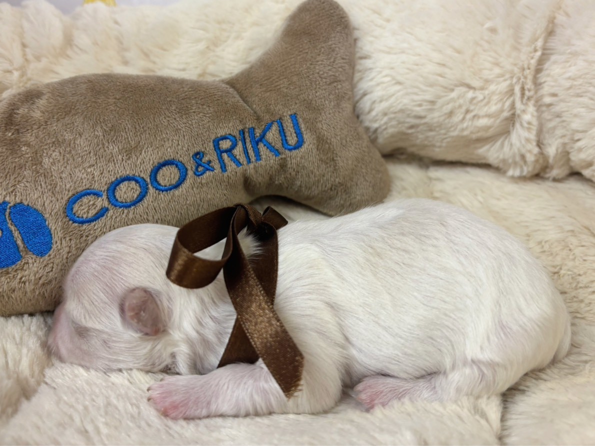 赤ちゃん写真1-2