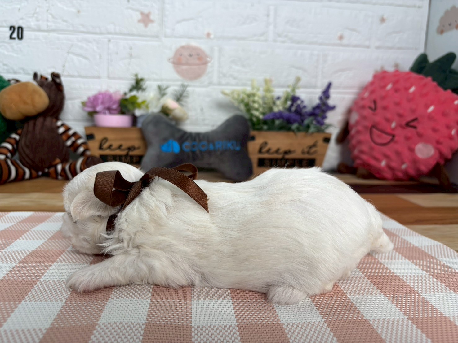 赤ちゃん写真2-2