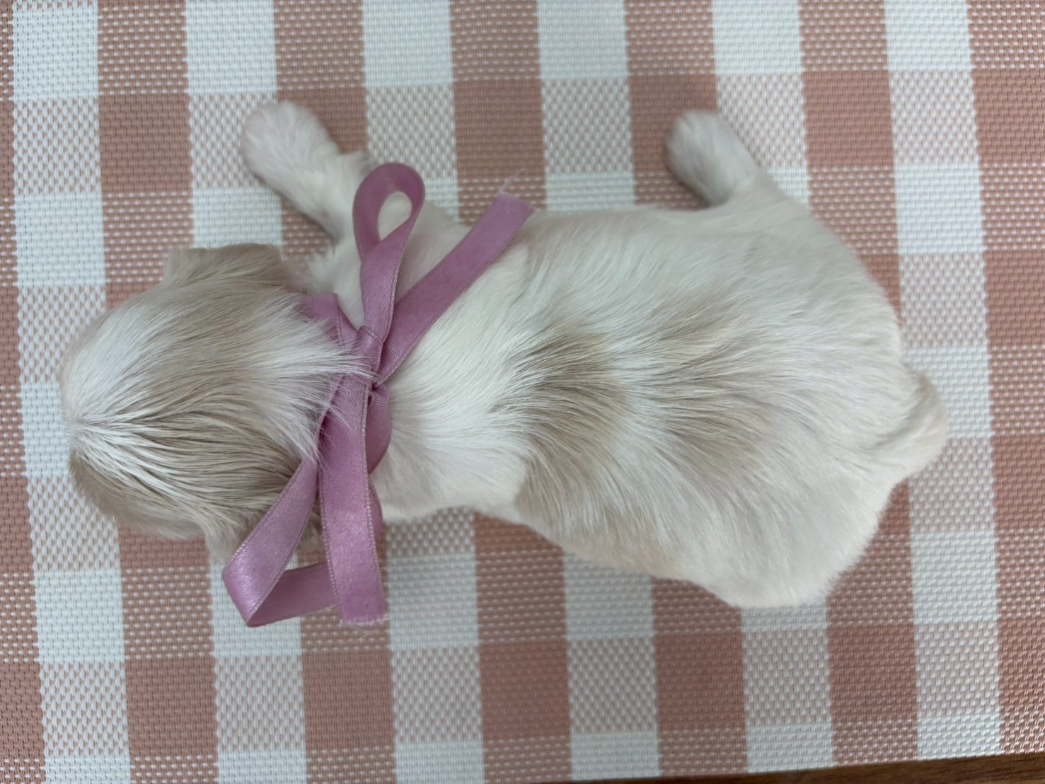 赤ちゃん写真2-3