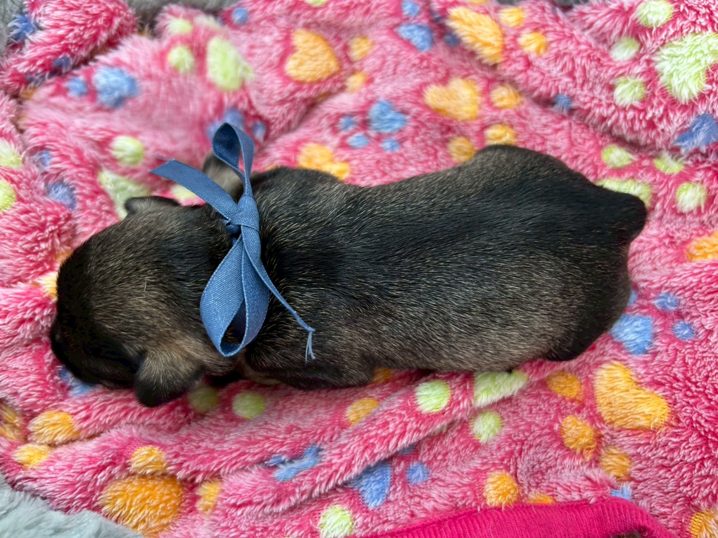 赤ちゃん写真1-3