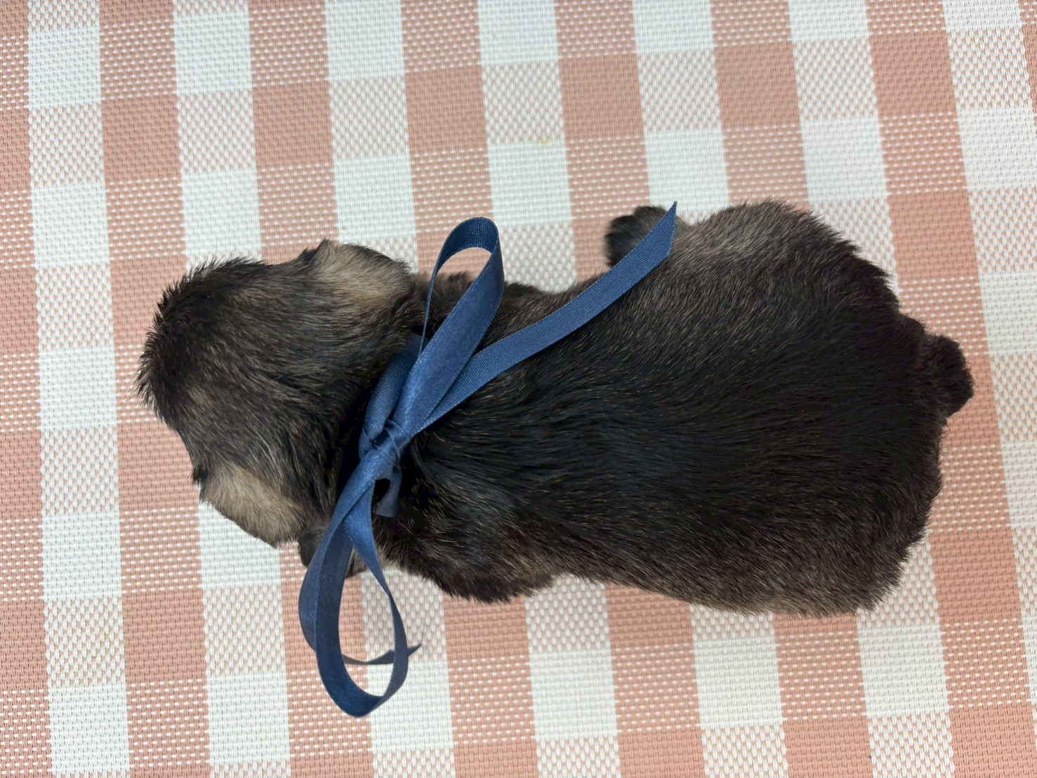 赤ちゃん写真2-3