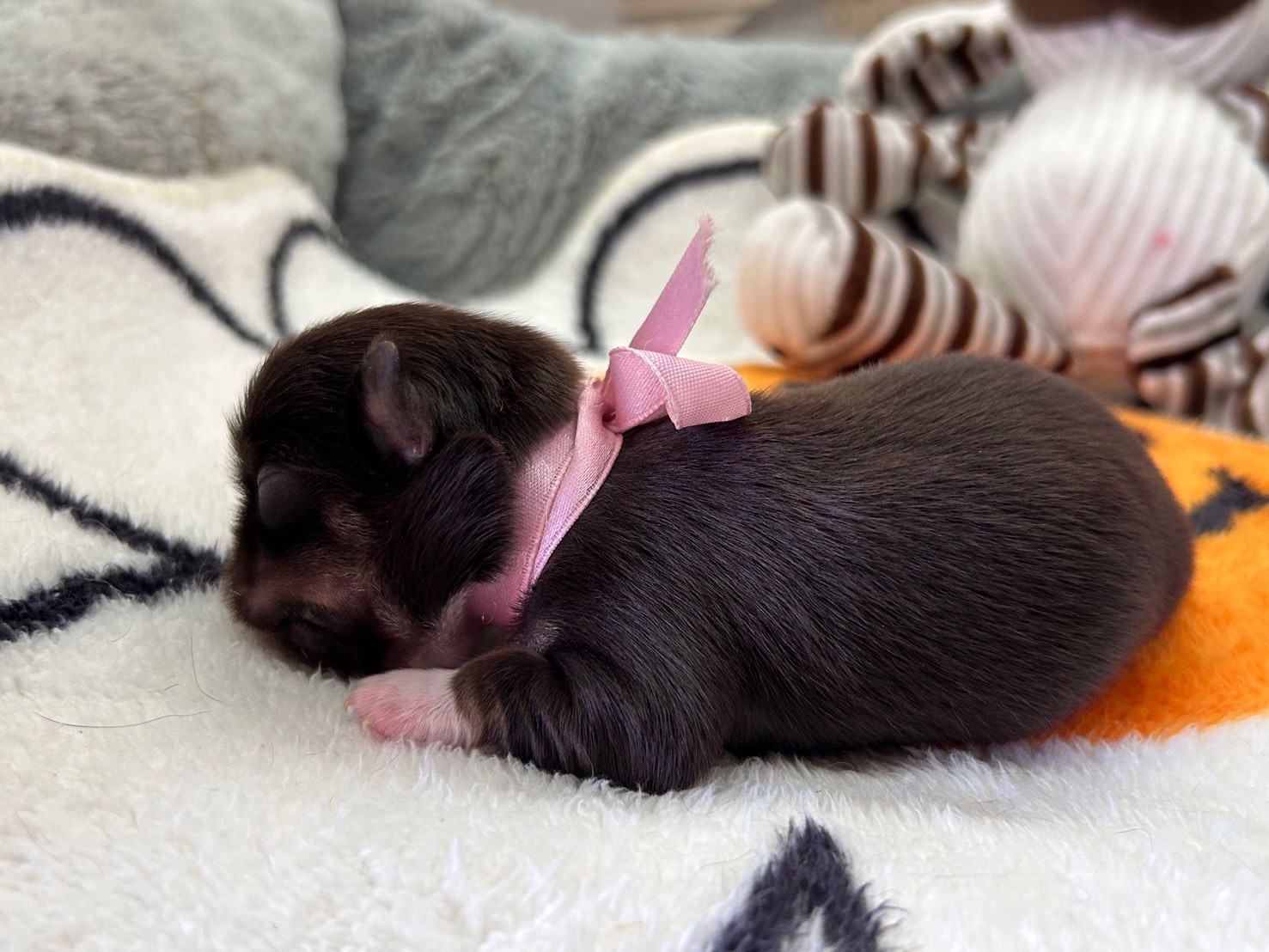 赤ちゃん写真1-2
