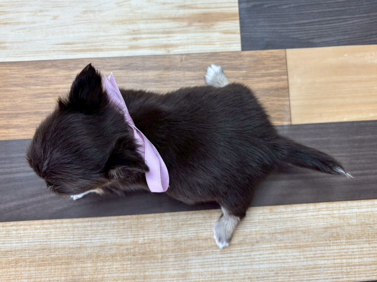 赤ちゃん写真3-3