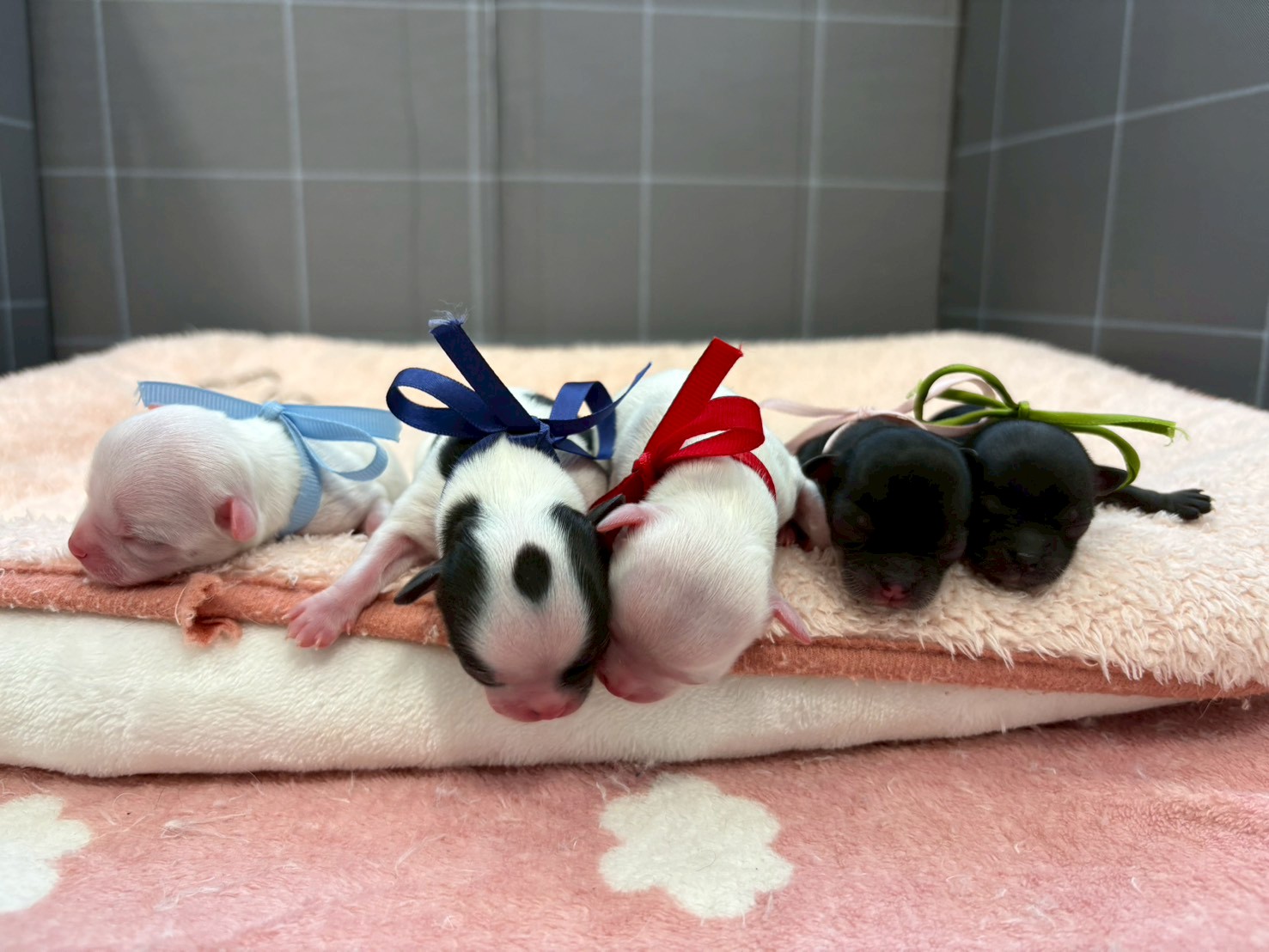 赤ちゃん写真1-3
