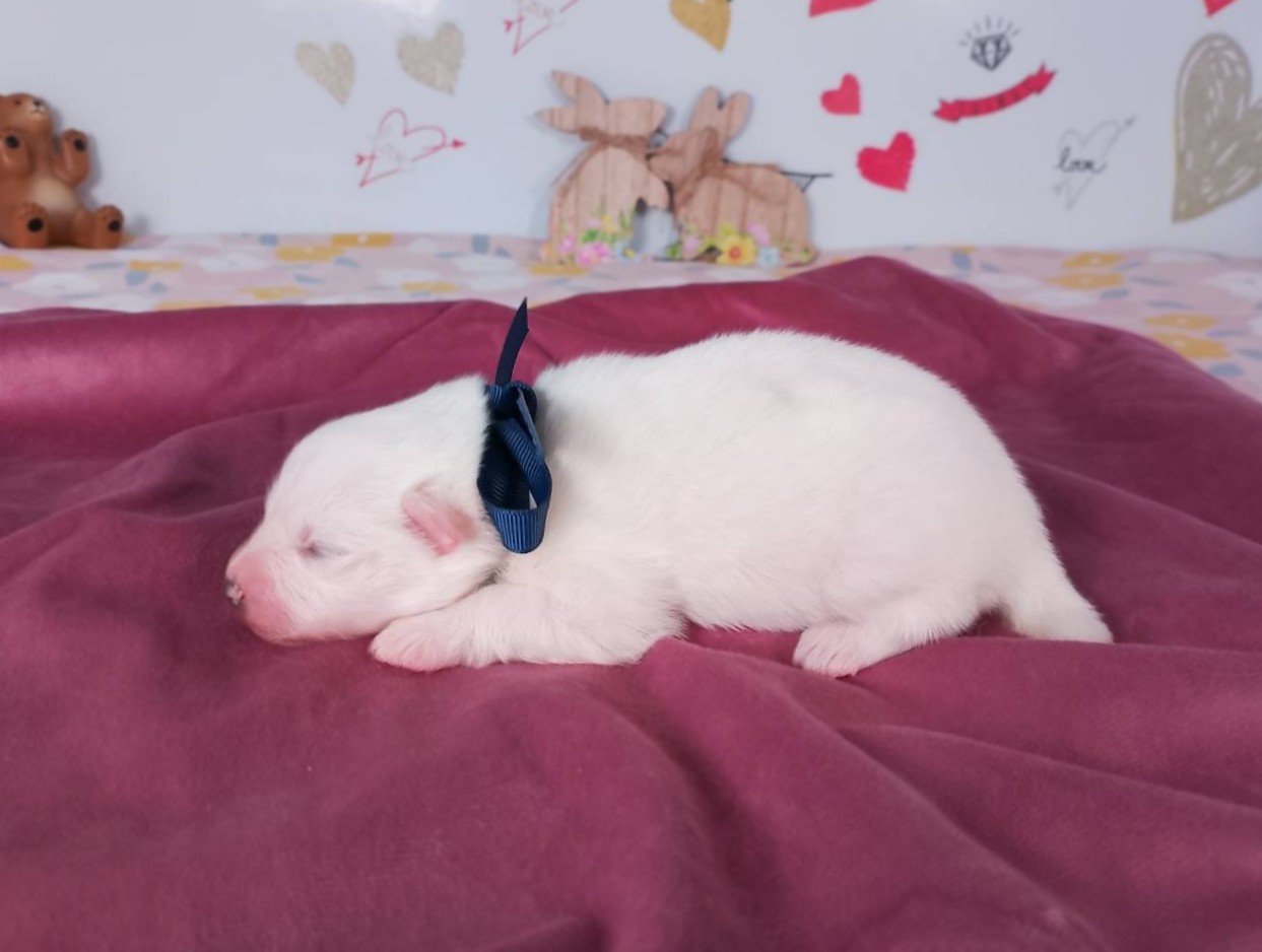 赤ちゃん写真1-2