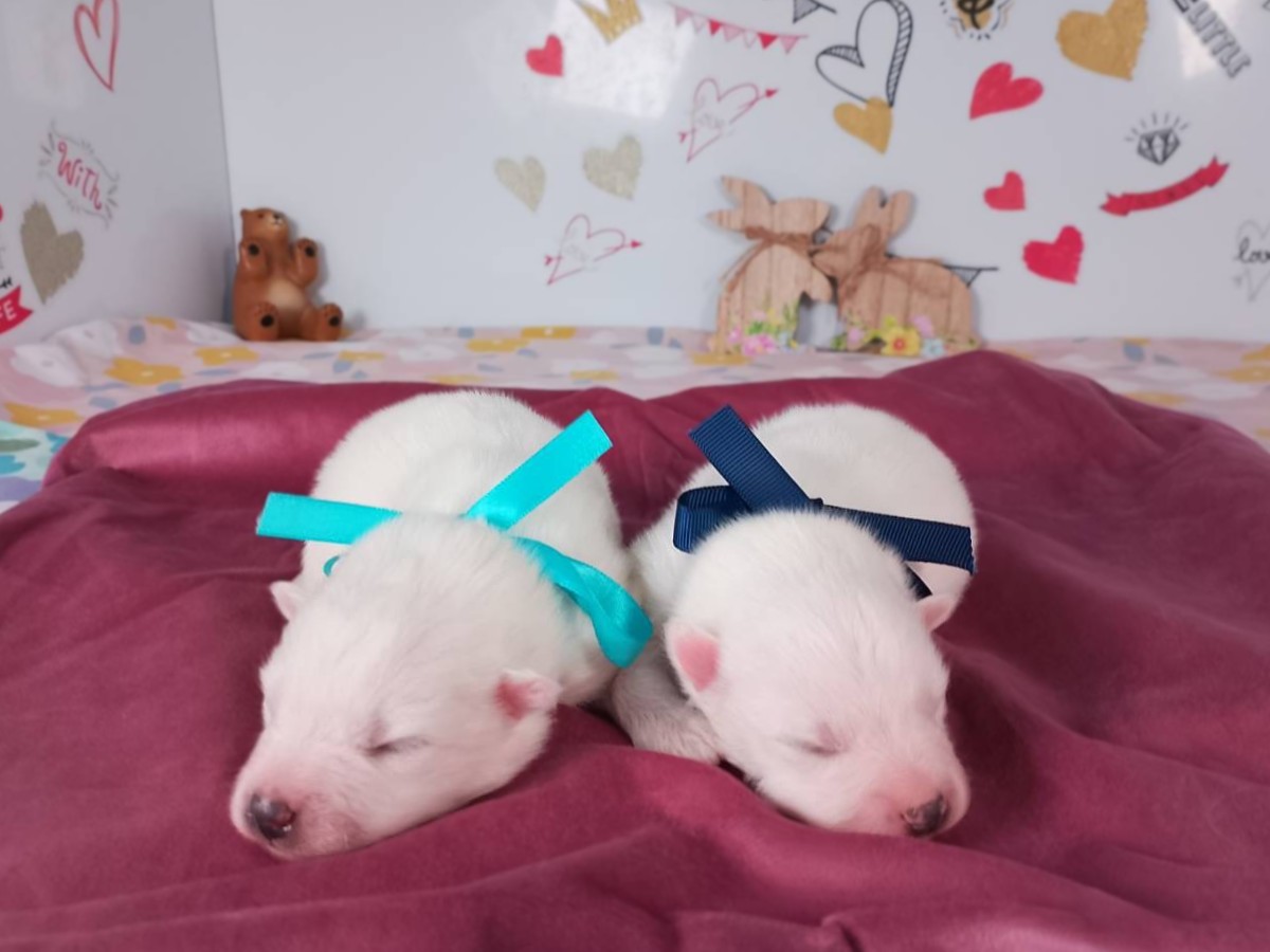 赤ちゃん写真1-3