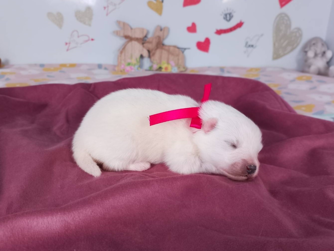 赤ちゃん写真1-2