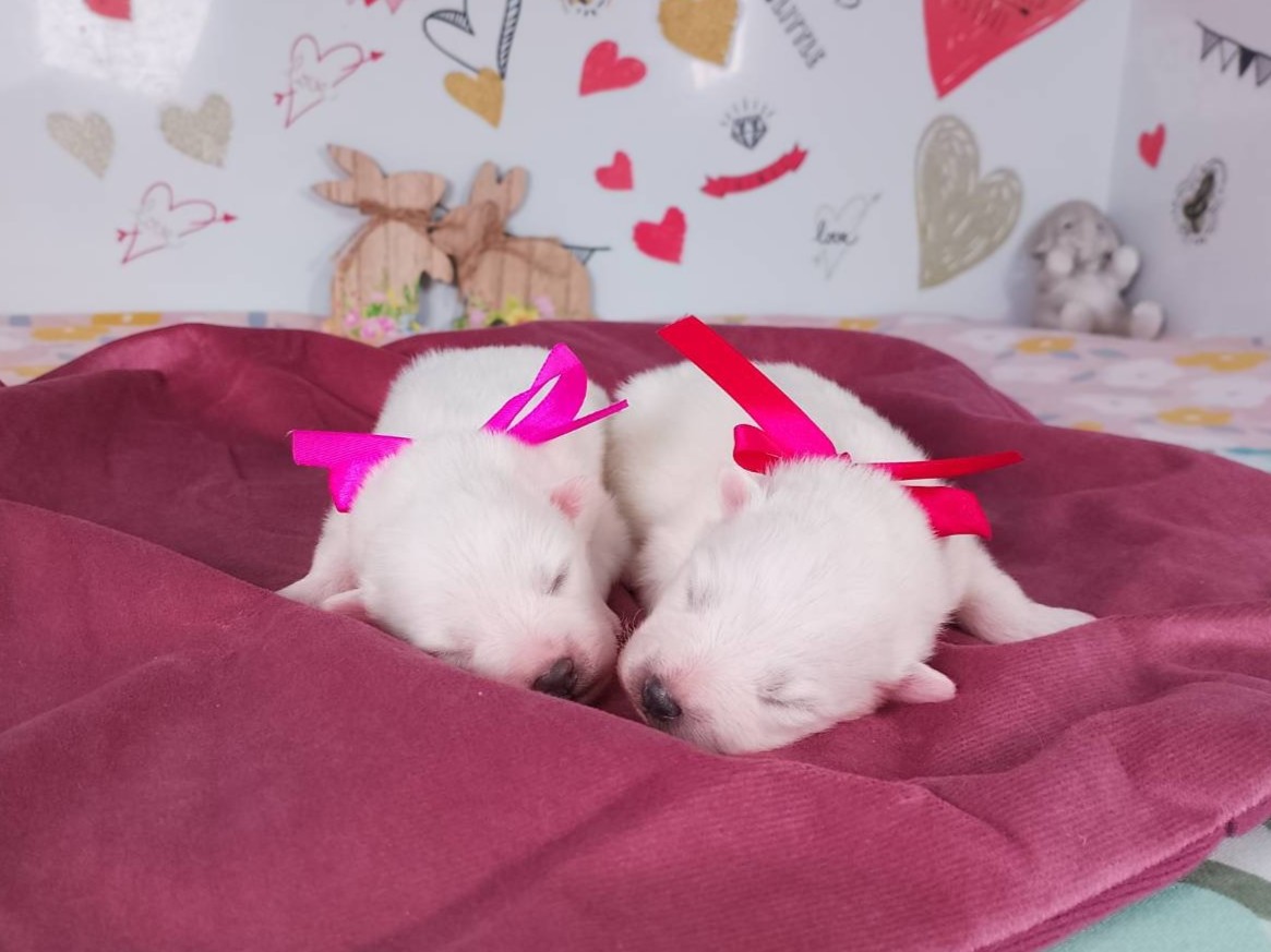赤ちゃん写真1-3