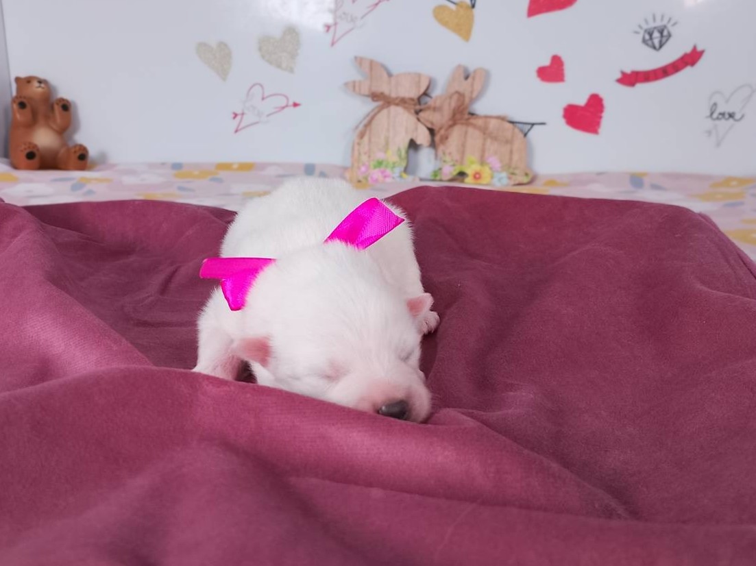 赤ちゃん写真1-1
