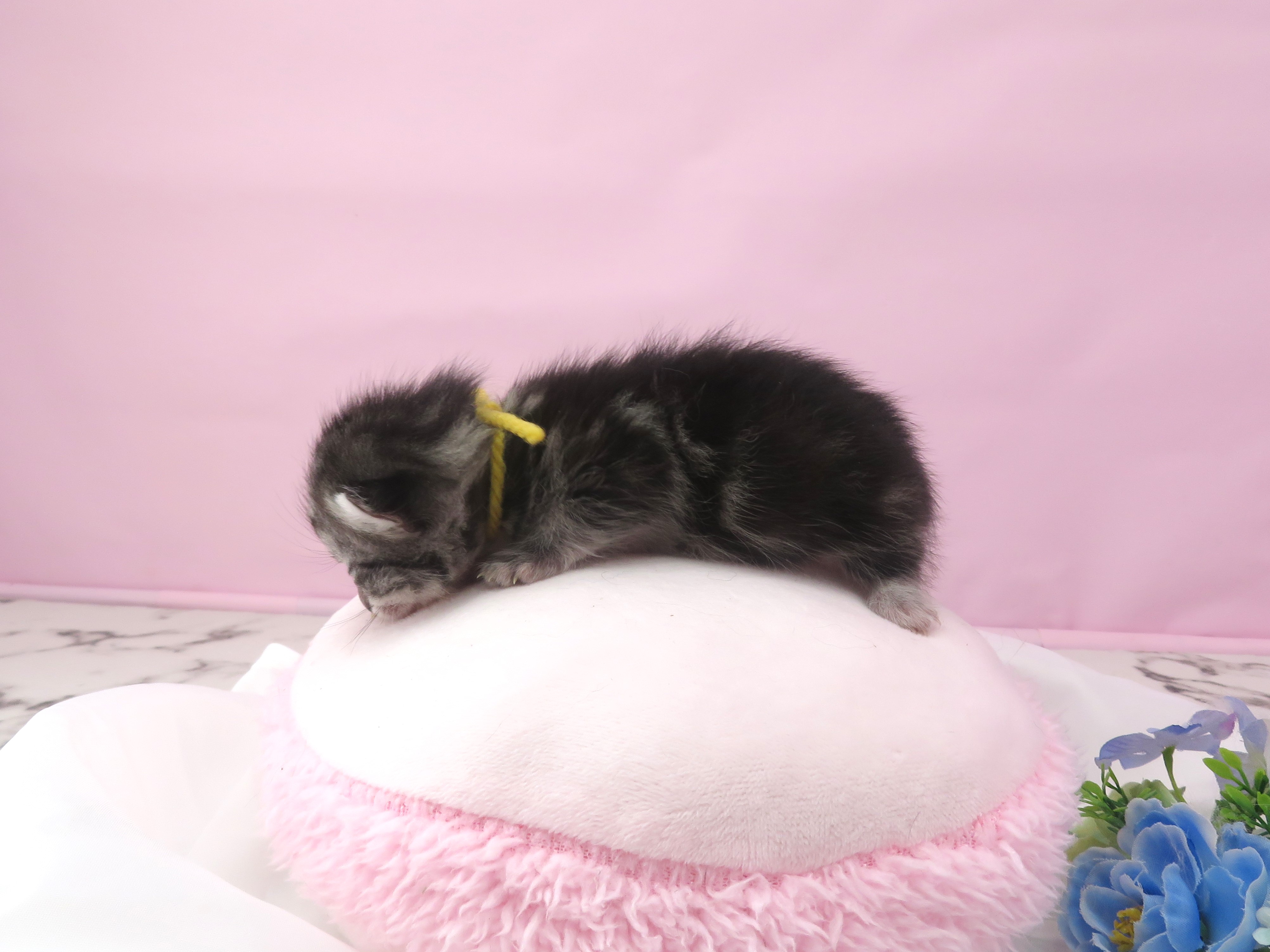 赤ちゃん写真1-2