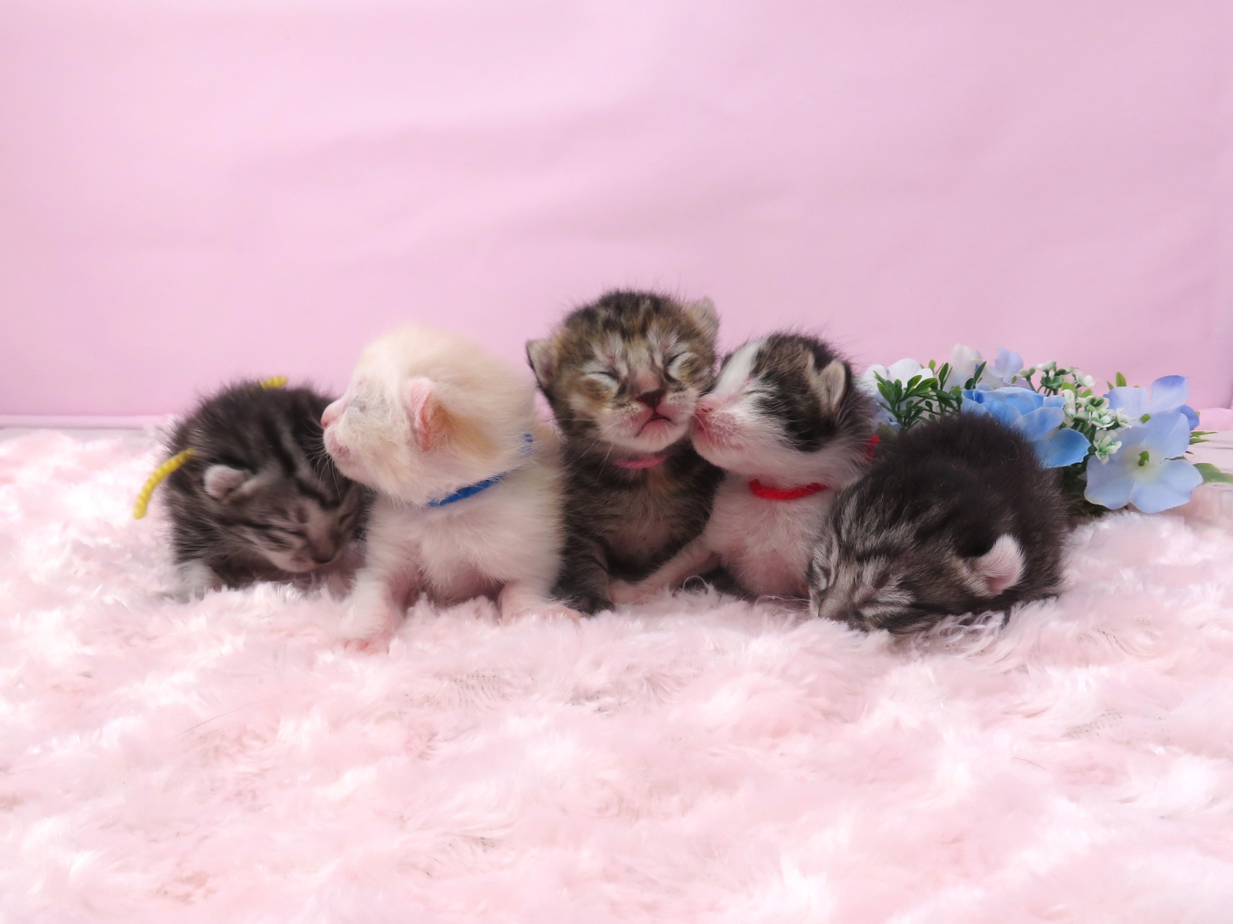 赤ちゃん写真1-3