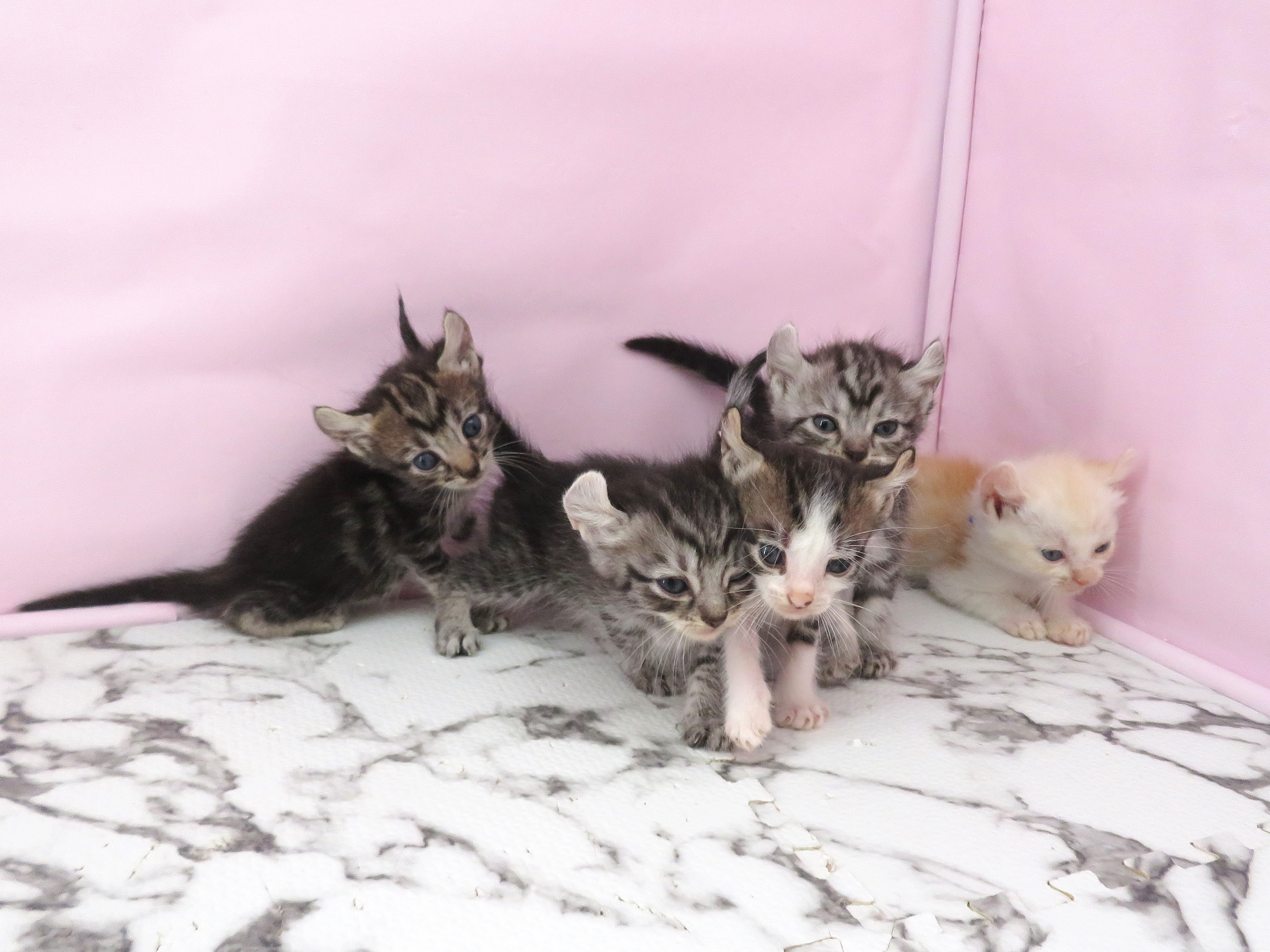 赤ちゃん写真2-3